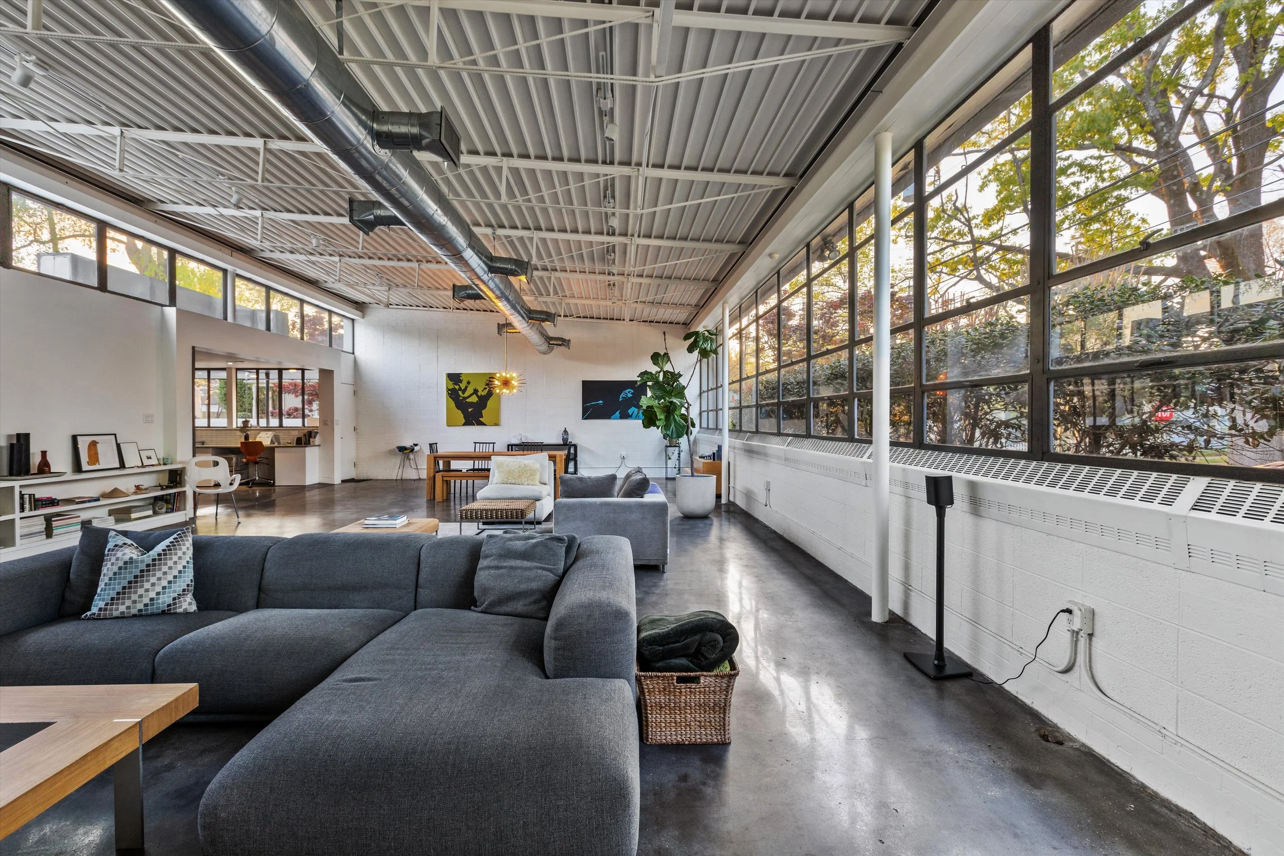 Southern and northern light