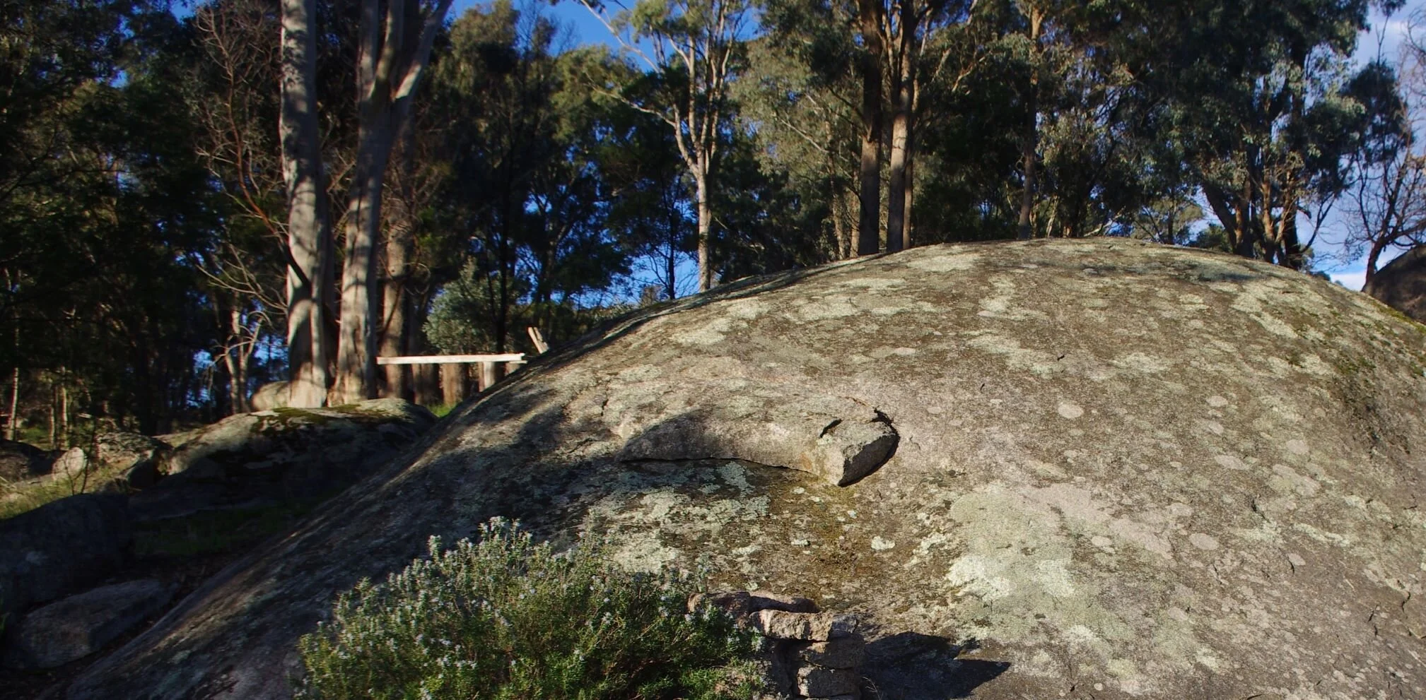 Granite is a feature of the local tablelands landscape