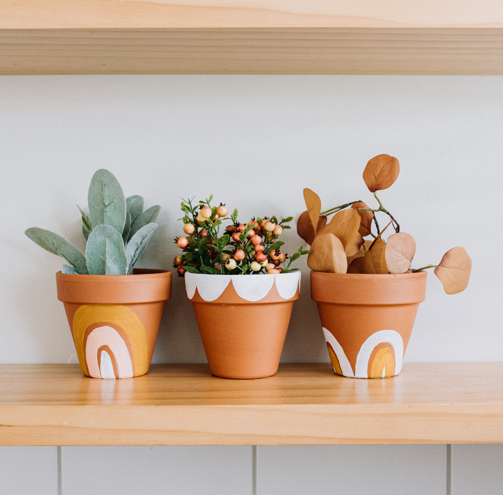 These Painted  Terracotta  Pots  make a cute DIY  Gift 