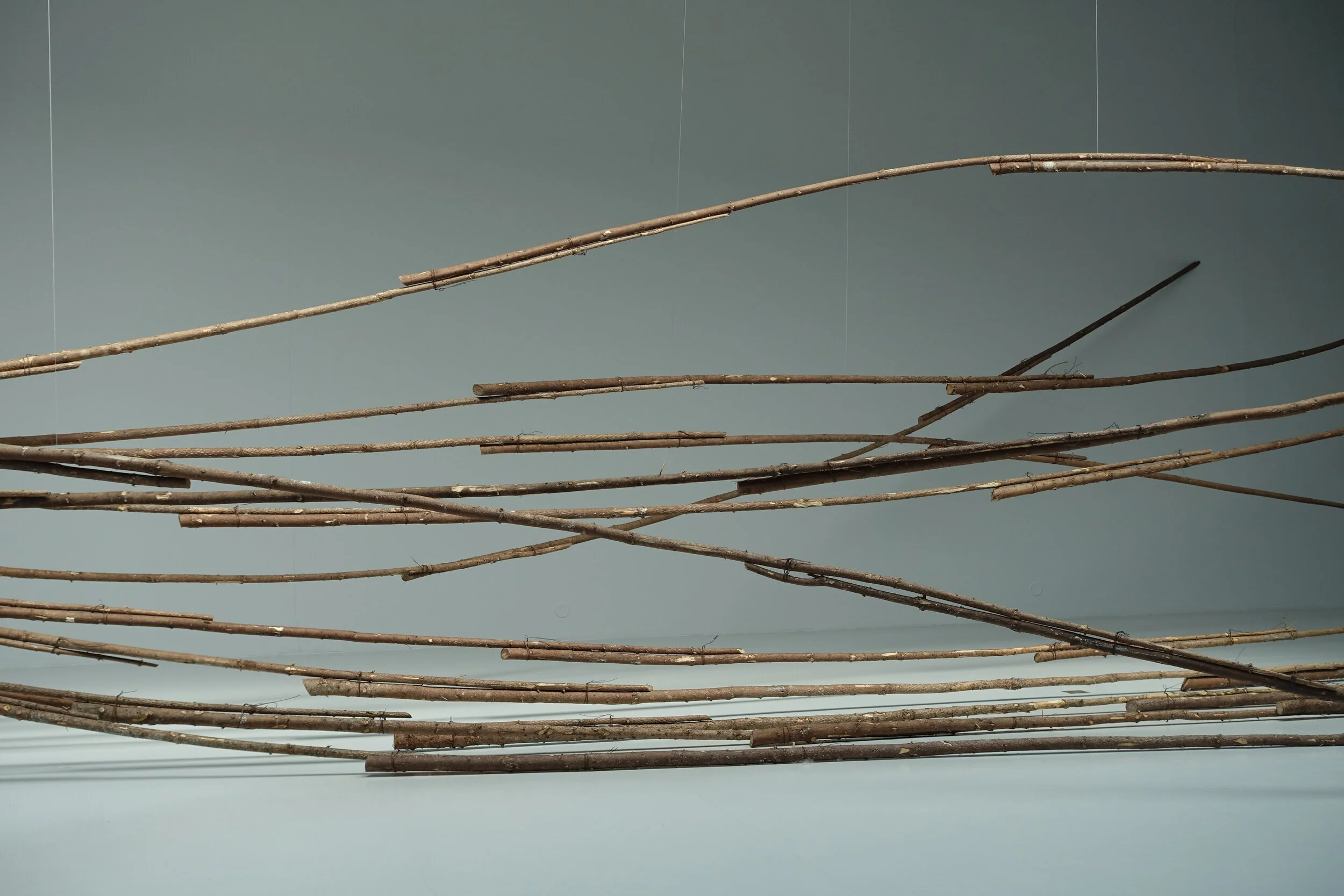 DSC02902 - kopia.JPG