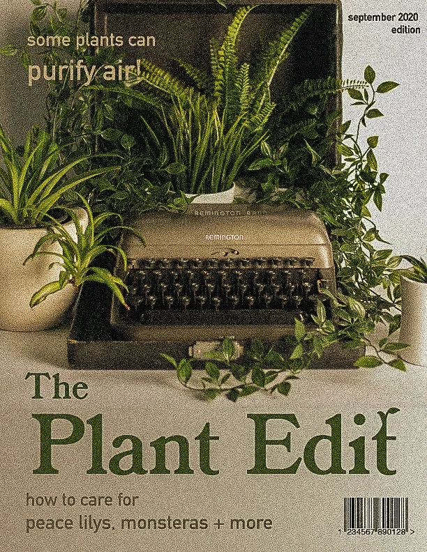 PlantEditZinecover.jpg