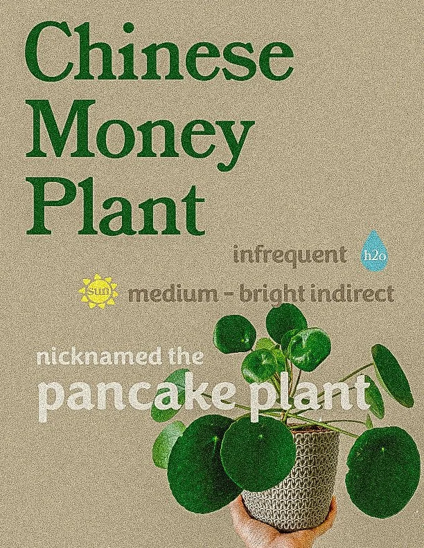 PlantEditpage1.jpg