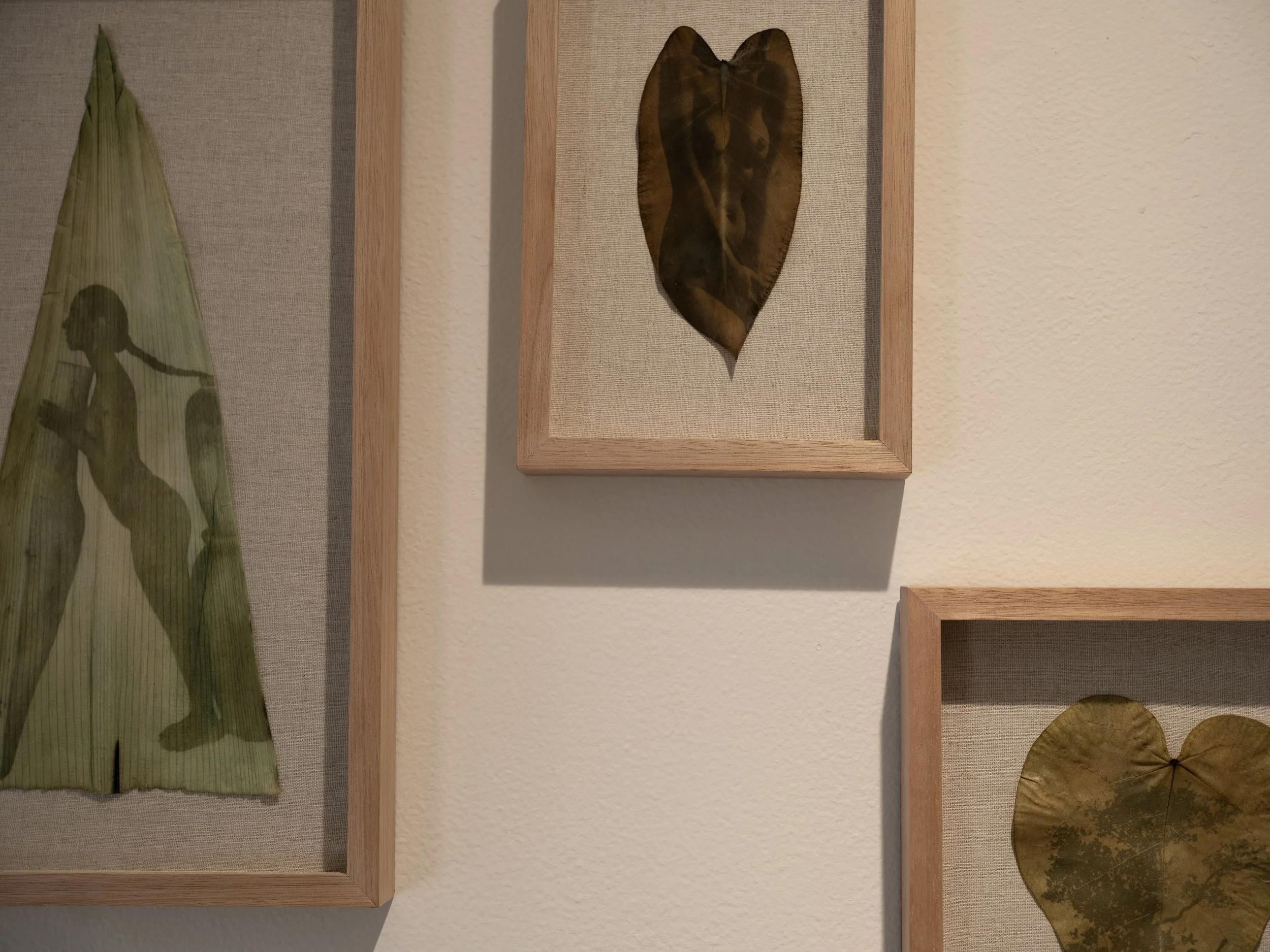 memories_install_47 2.jpg