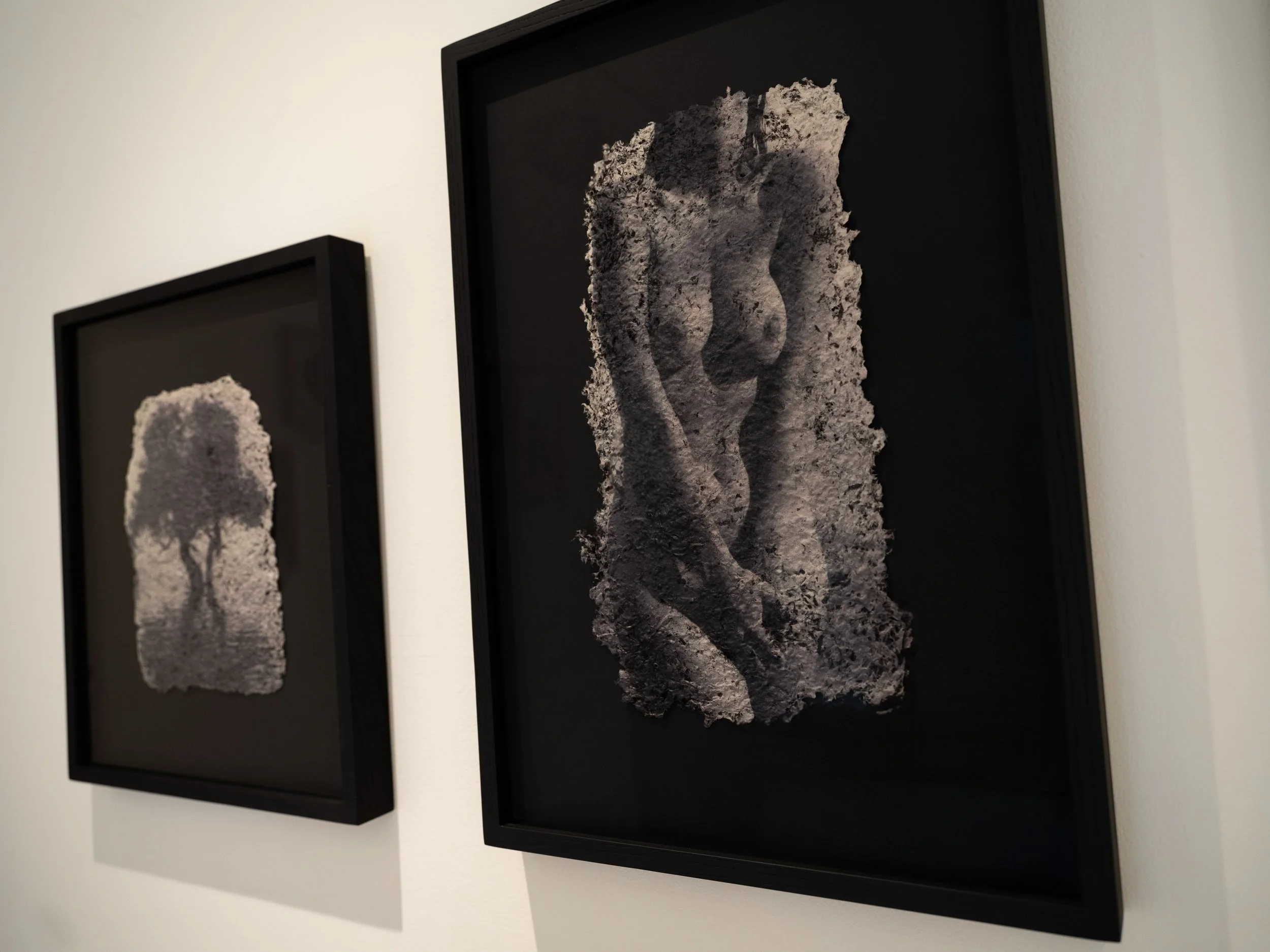 memories_install_37 2.jpg