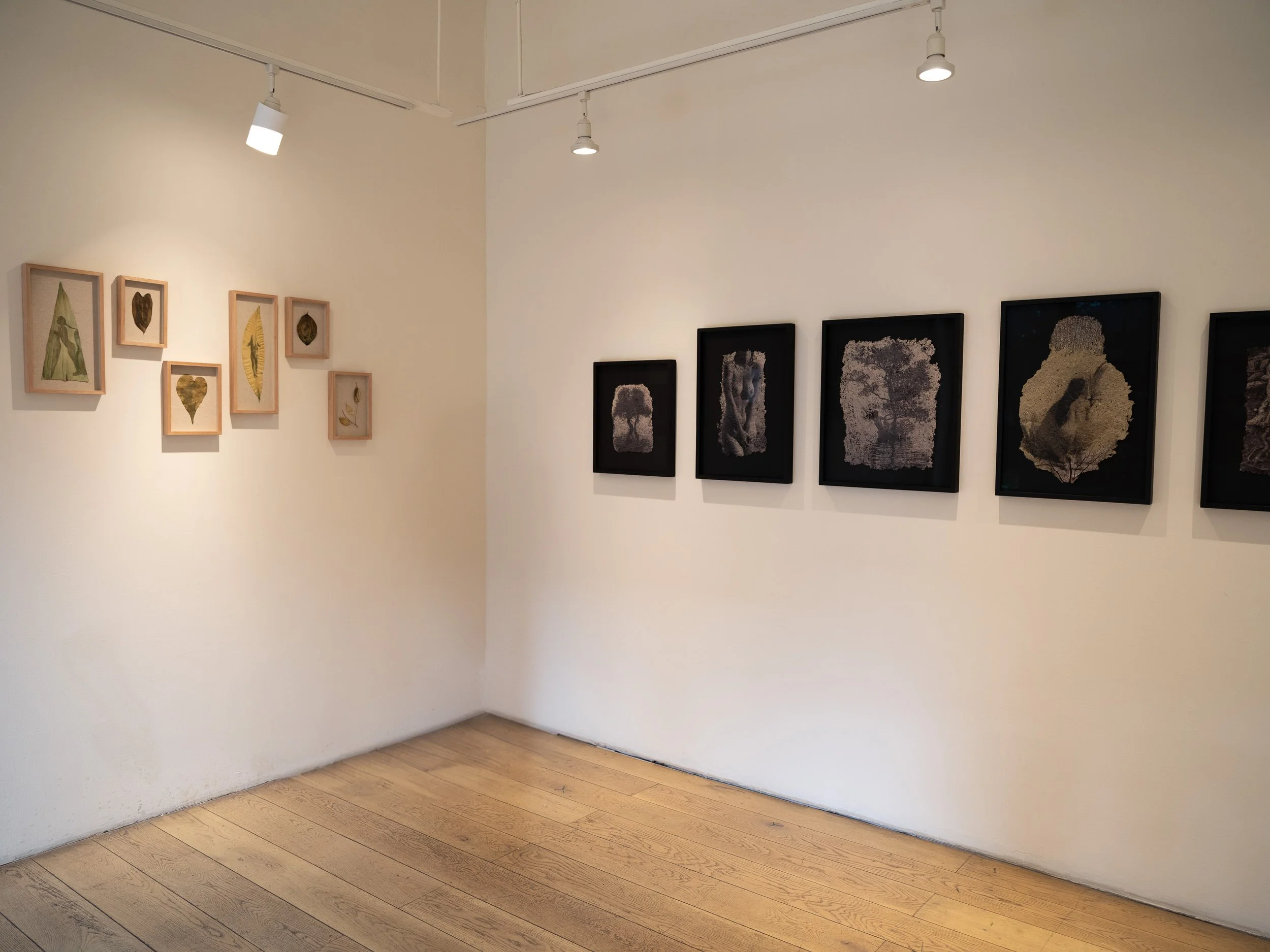 memories_install_31 2.JPG