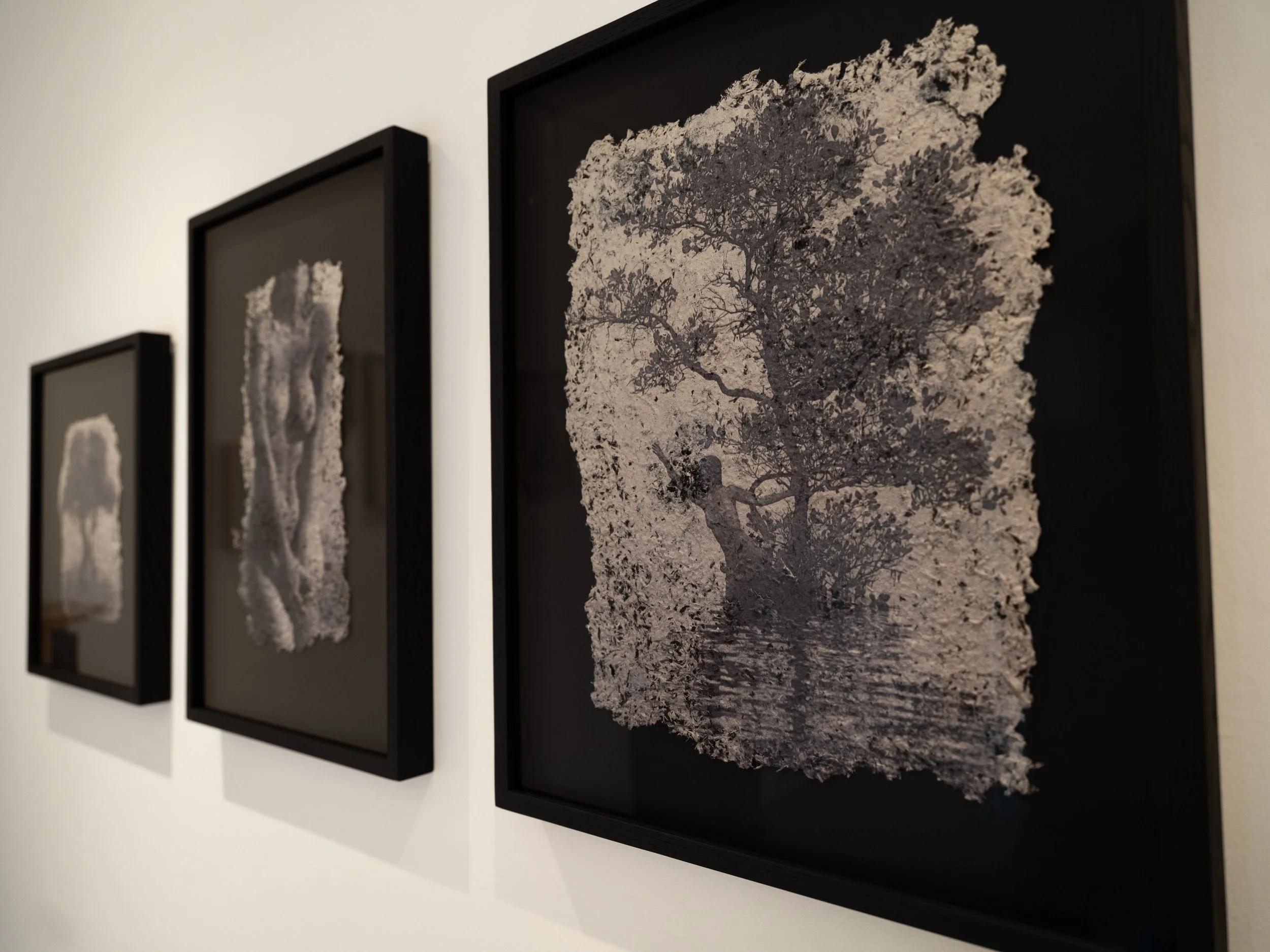 memories_install_36 2.jpg