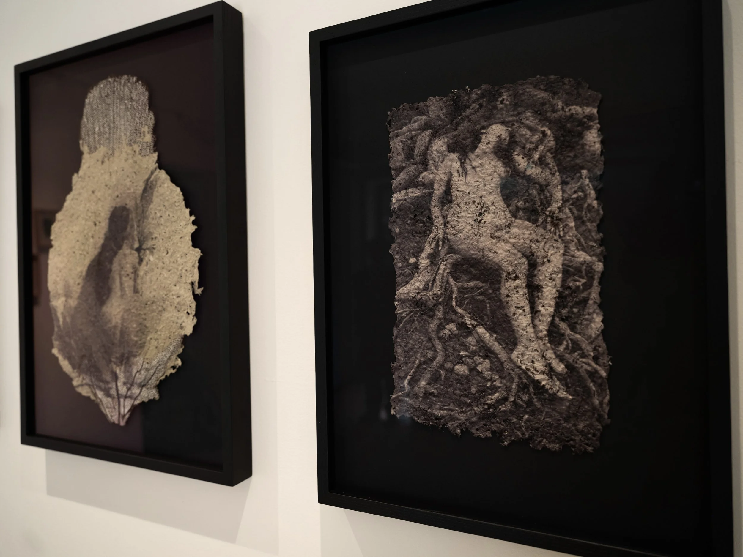 memories_install_34 2.jpg