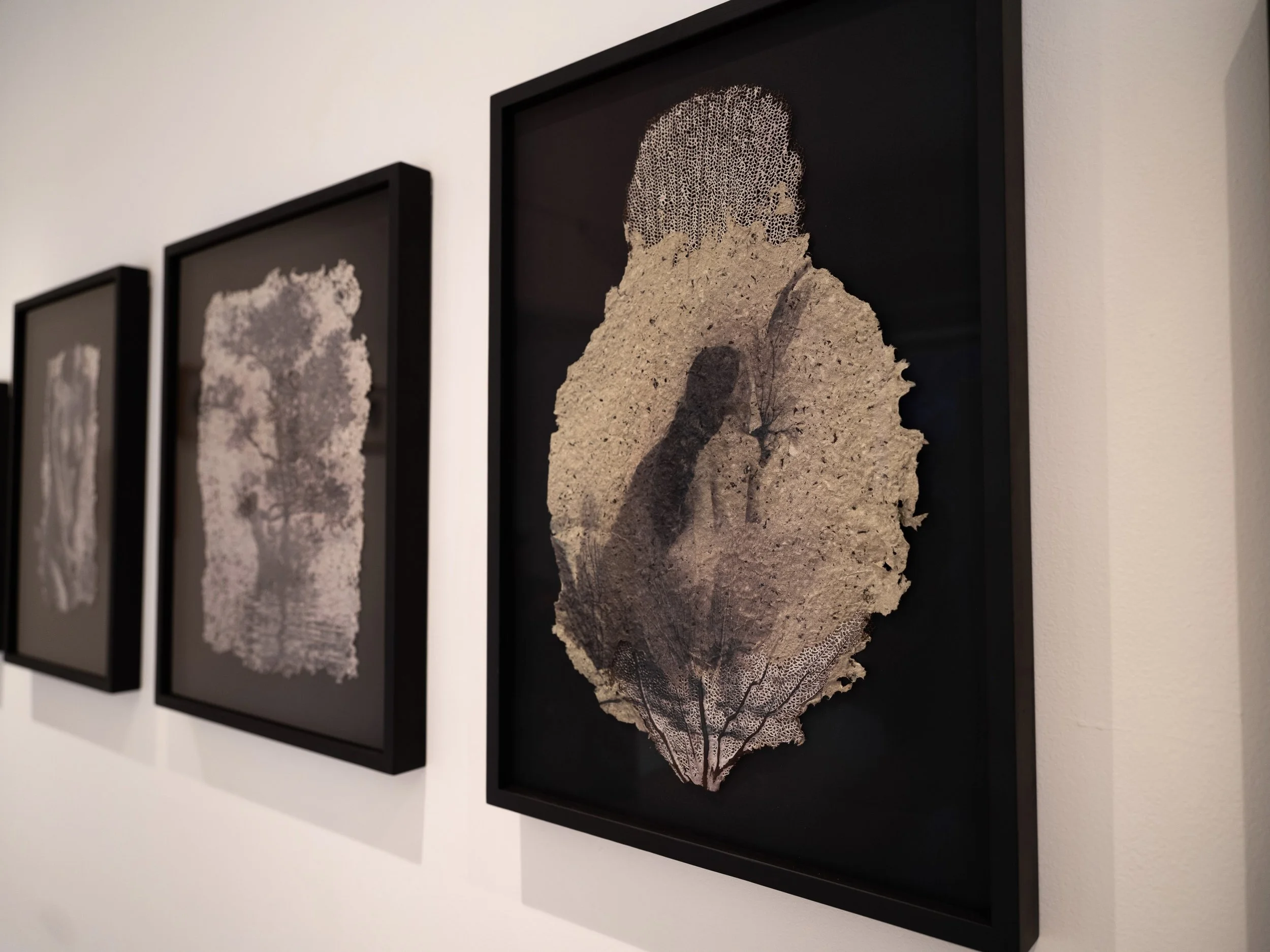 memories_install_35 2.jpg