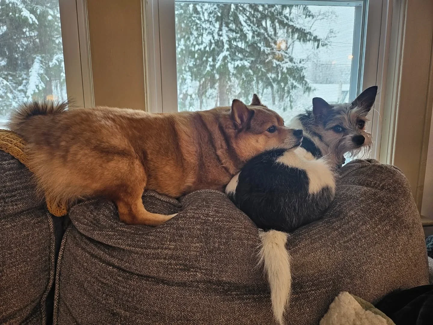 I am officially starting my time off for the holidays. 
I will be back in the salon January third and will answer any messages then. I hope everyone has a wonderful holiday this year. I greatly appreciate all of my clients for their continued support