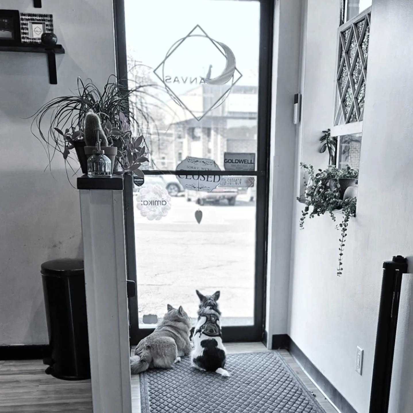 Out of the salon for the holiday, spending time with my boys 🤎 
*All messages will be answered Tuesday December 3rd* 
Have a Happy Thanksgiving 🍁🥧🌲☕🍂