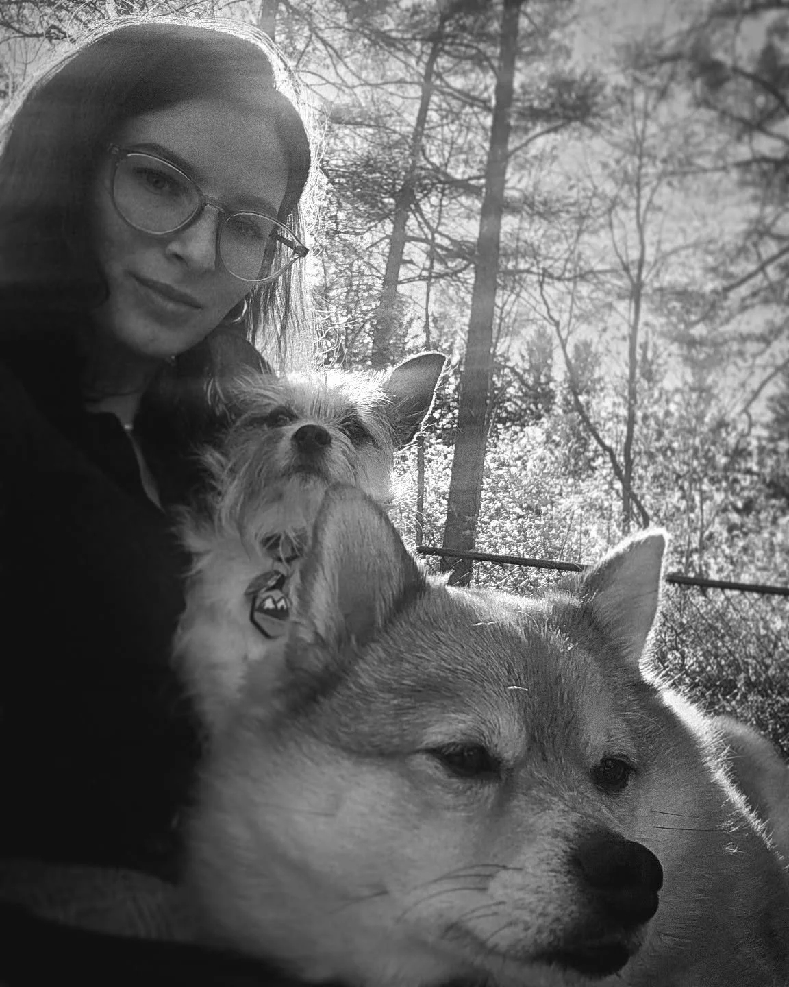 November is all booked up! Don't forget to book your December appointment so you are ready for the holidays 🌲🍁🥧 
#binghamtonhair #binghamtonuniversity #haircolor #holidayhair