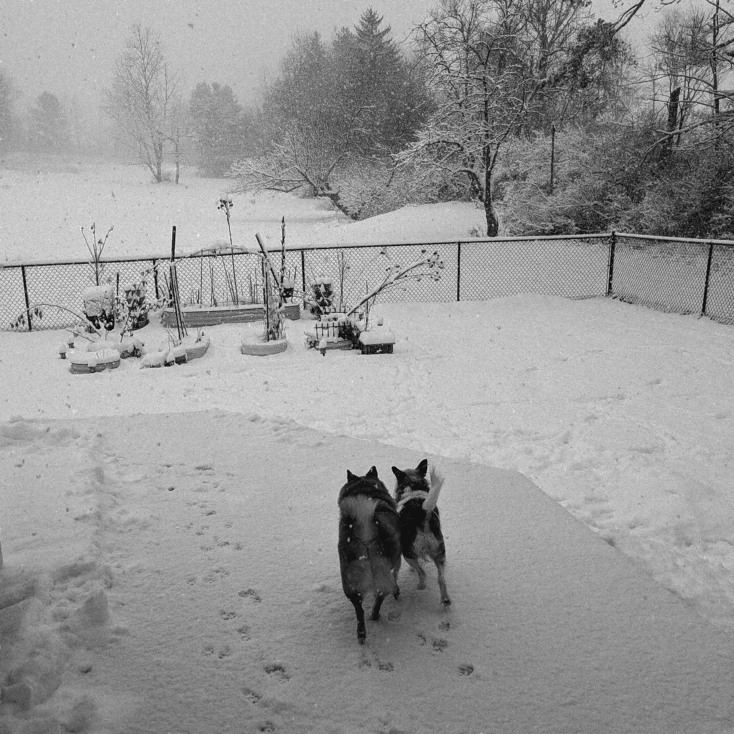 Just a reminder to clients please do not come to your appointments sick. I do not have the best immune system anymore and get sick very easily. If you feel something coming on please message me so we can reschedule. Or at the very least wear a mask.