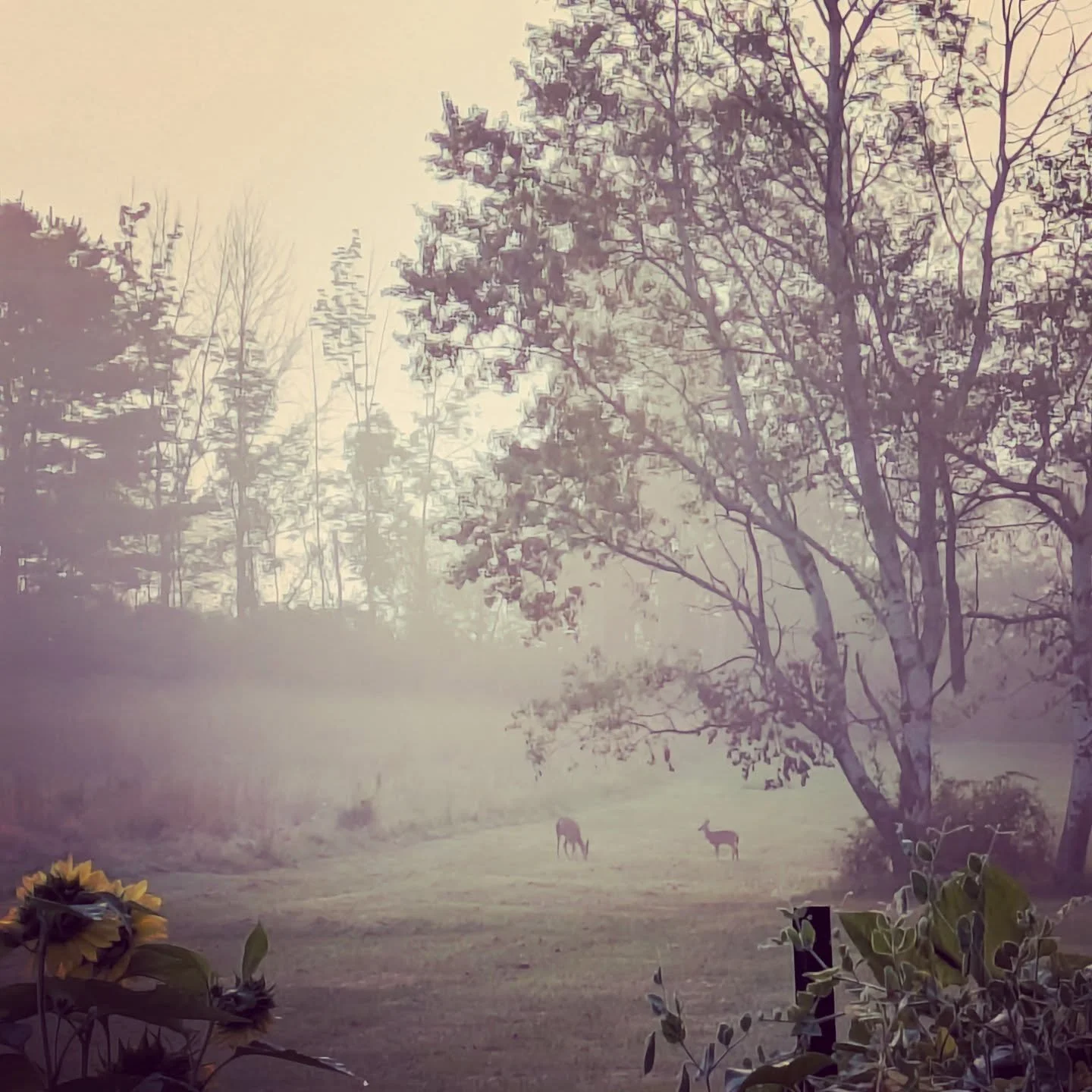 At this time I have turned off my online booking as I am currently not taking new clients. If you are a current client of mine and need to book an appointment you can direct message me or send me a text to look for an appointment. If you are a new cl