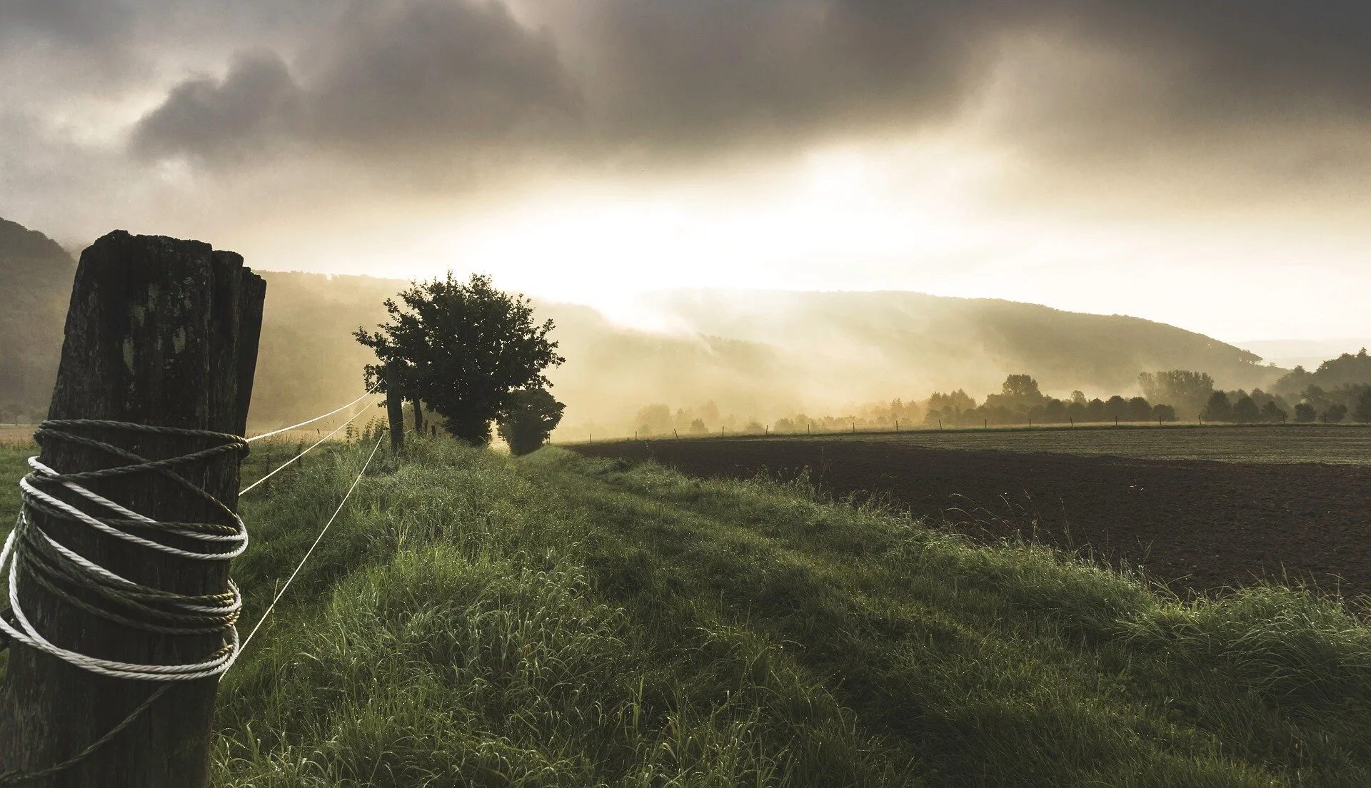Bills to Assist Black Farmers Move Forward