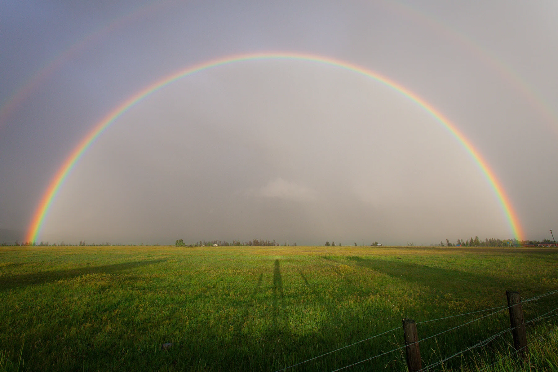 Black Farmers Settlement Is Finally Approved