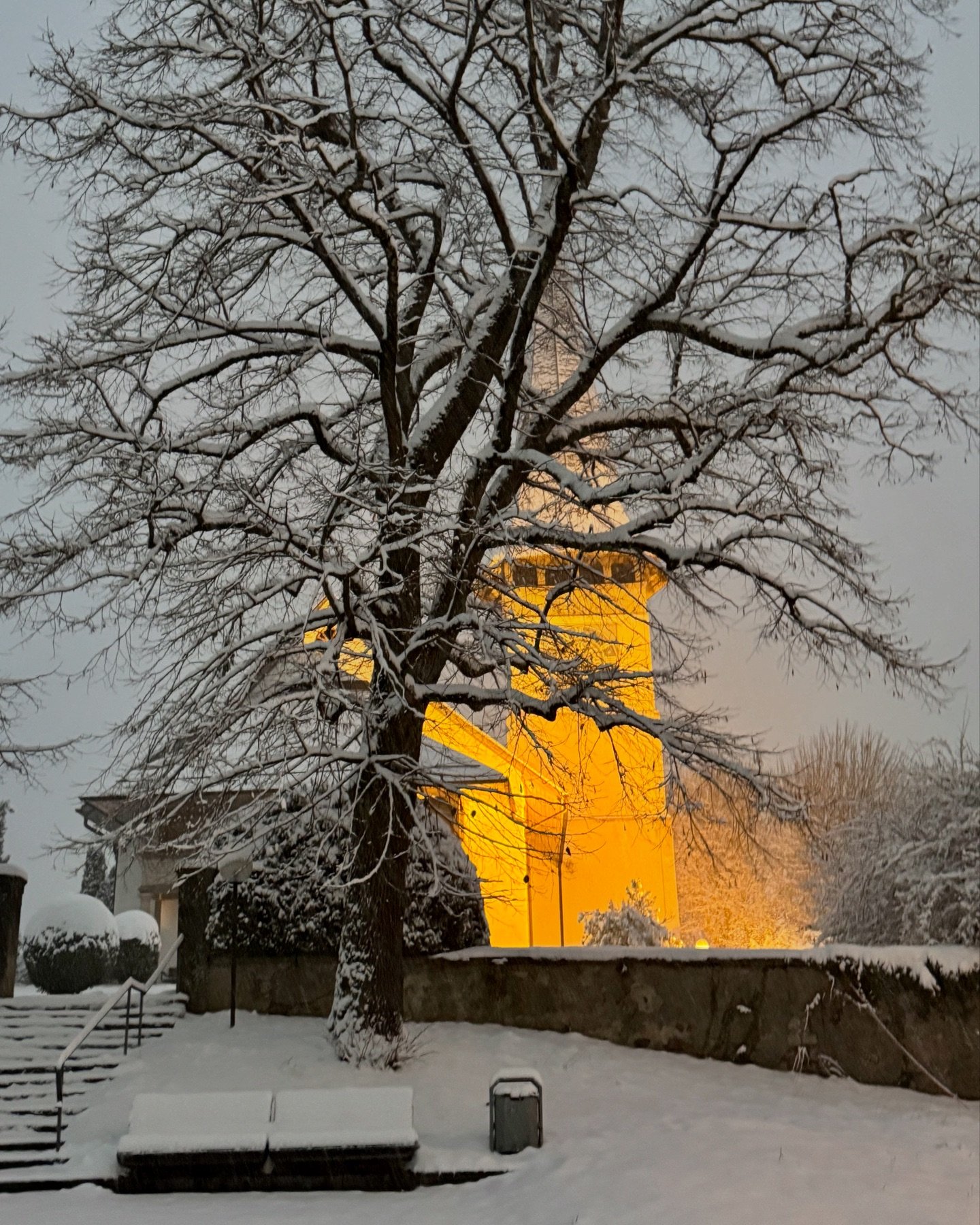 Und schon ist der Winter in Bolligen angekommen❄️🌨️.
