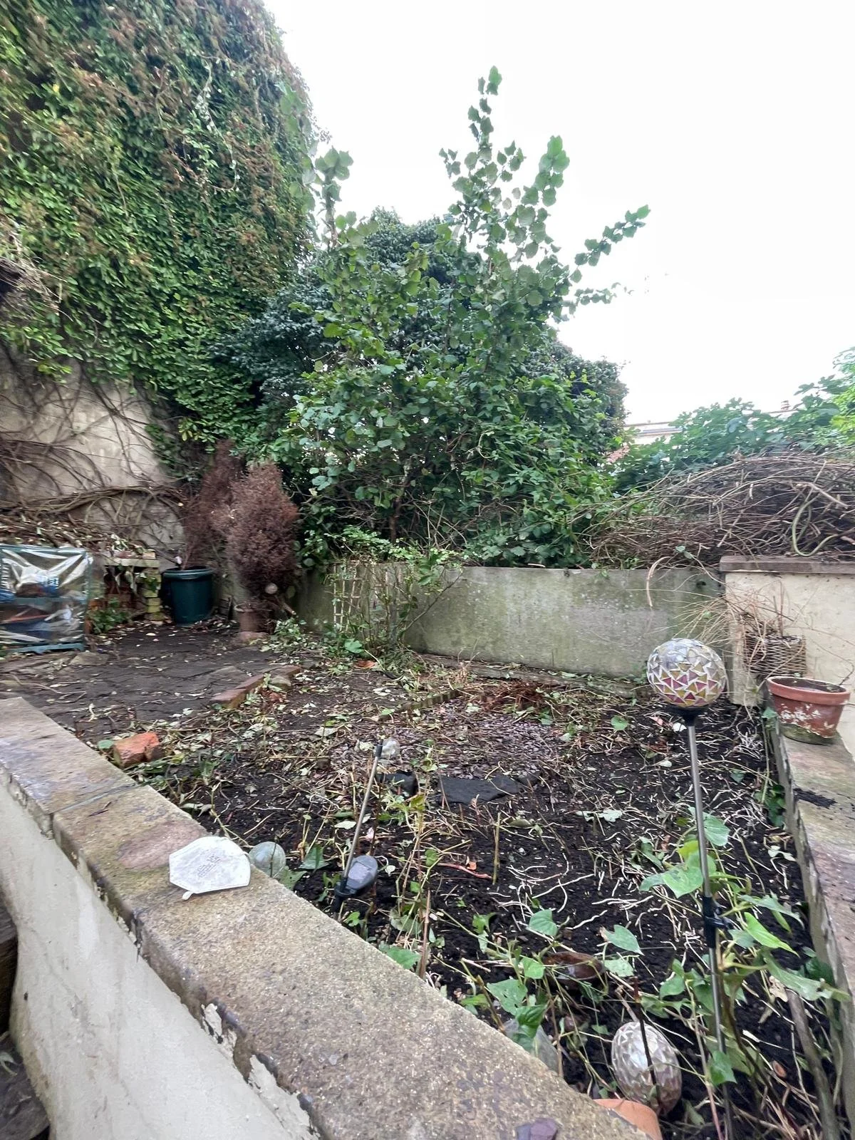 WhatsApp Image 2023-09-27 at 16.32.19 (1).jpeg