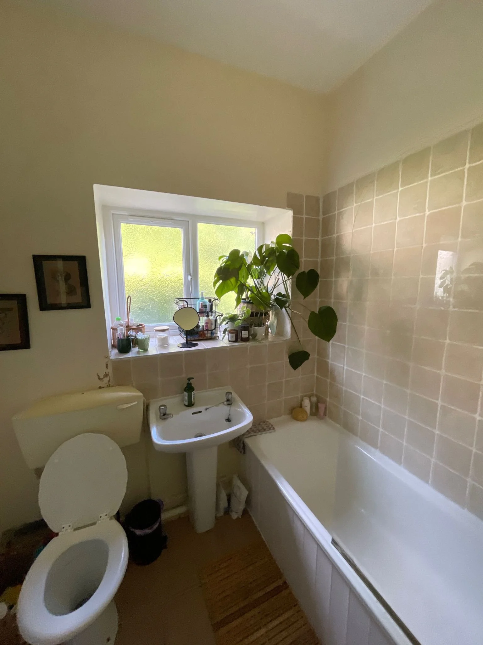 WhatsApp Image 2023-06-28 at 22.02.54.jpeg