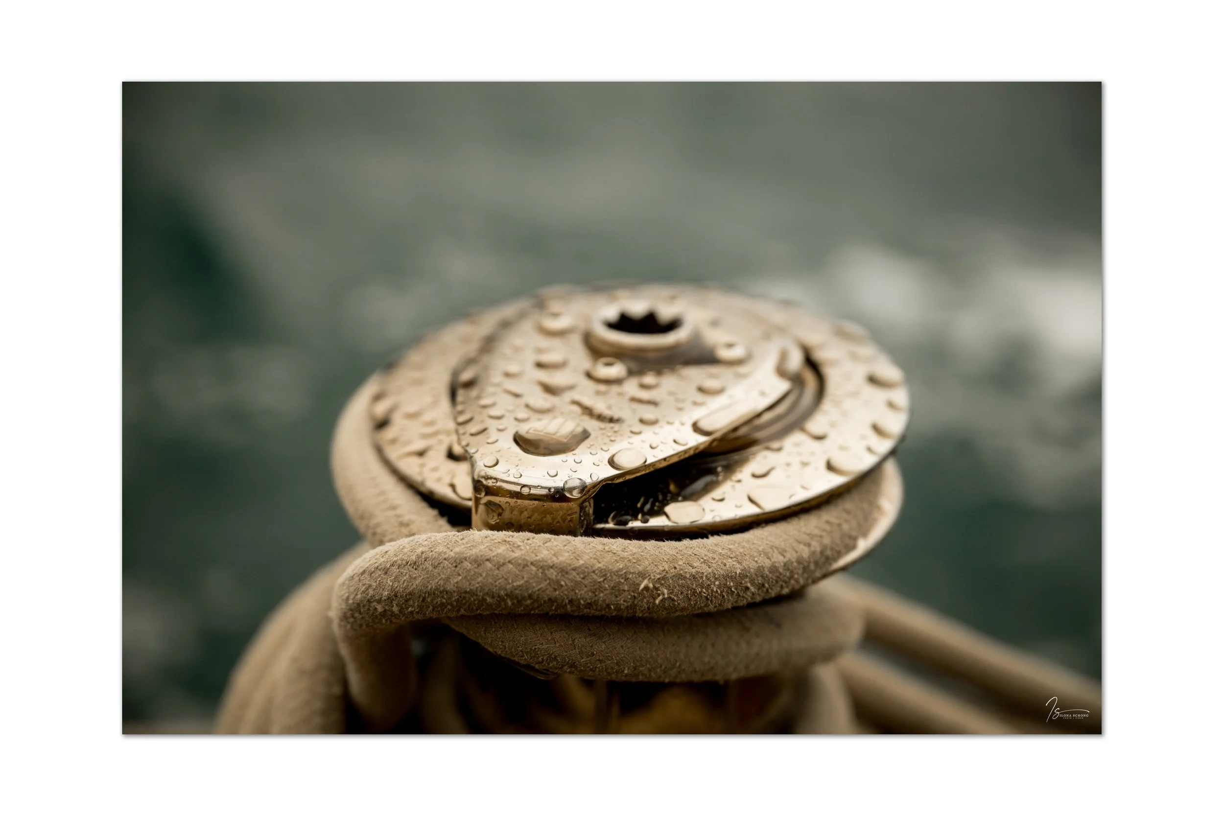 _DSC1311-2_Fixed Width_5000x3333_U_100.jpg