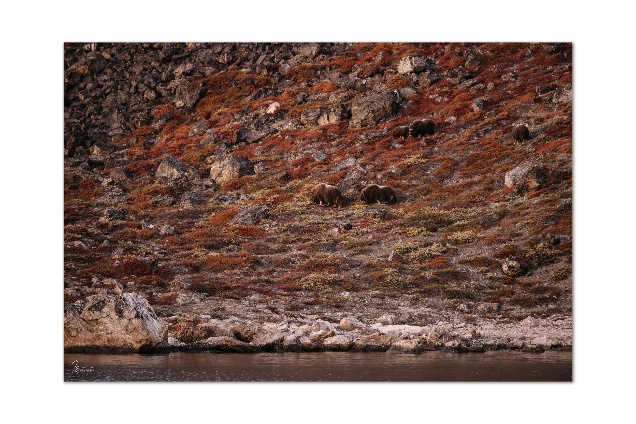 _Z722876-2_Original ratio_4000x2667_U_100.jpg