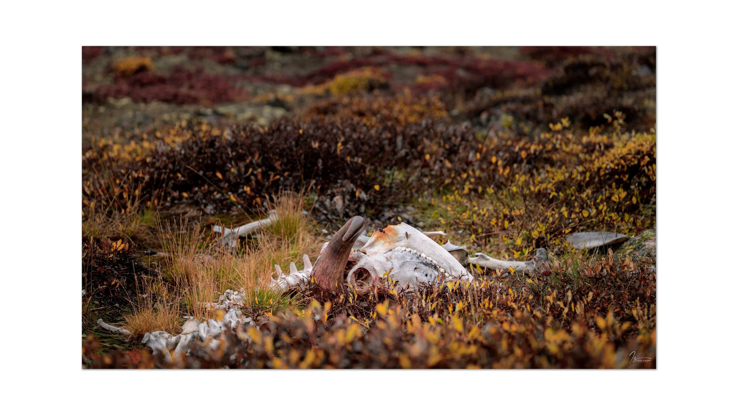 _DSC1673_Full Resolution_7360x4140_U_100.jpg