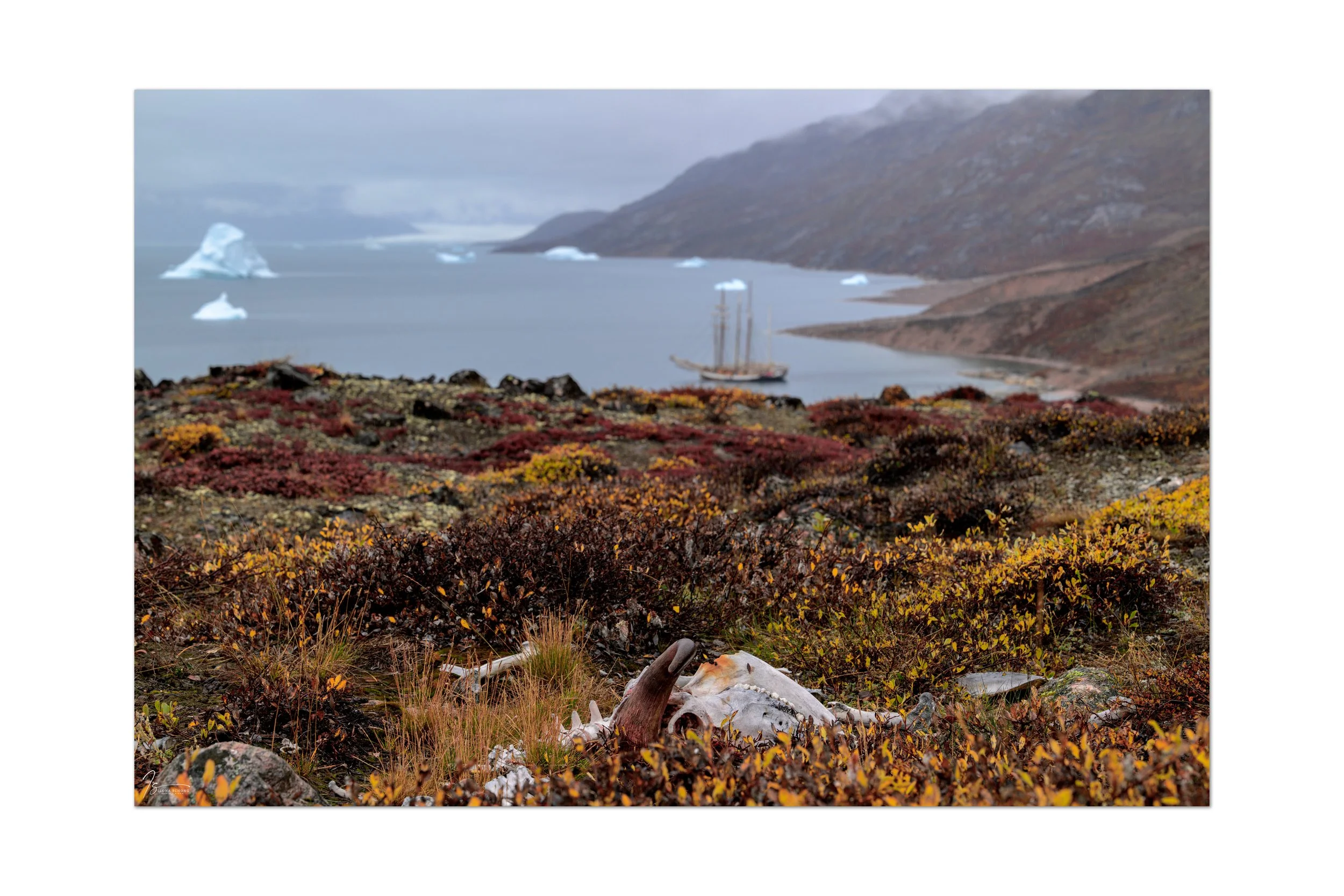 _DSC1682_Full Resolution_8232x5488_U_100.jpg