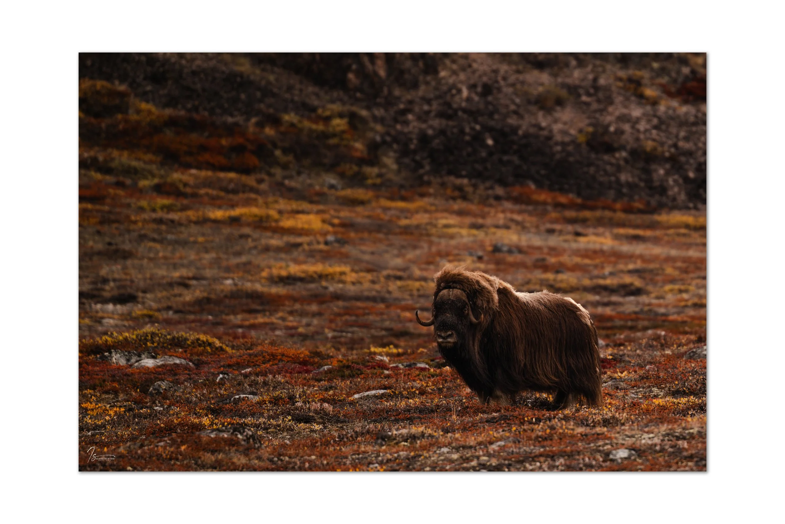 _DSC2122_Full Resolution_4644x3096_U_100.jpg