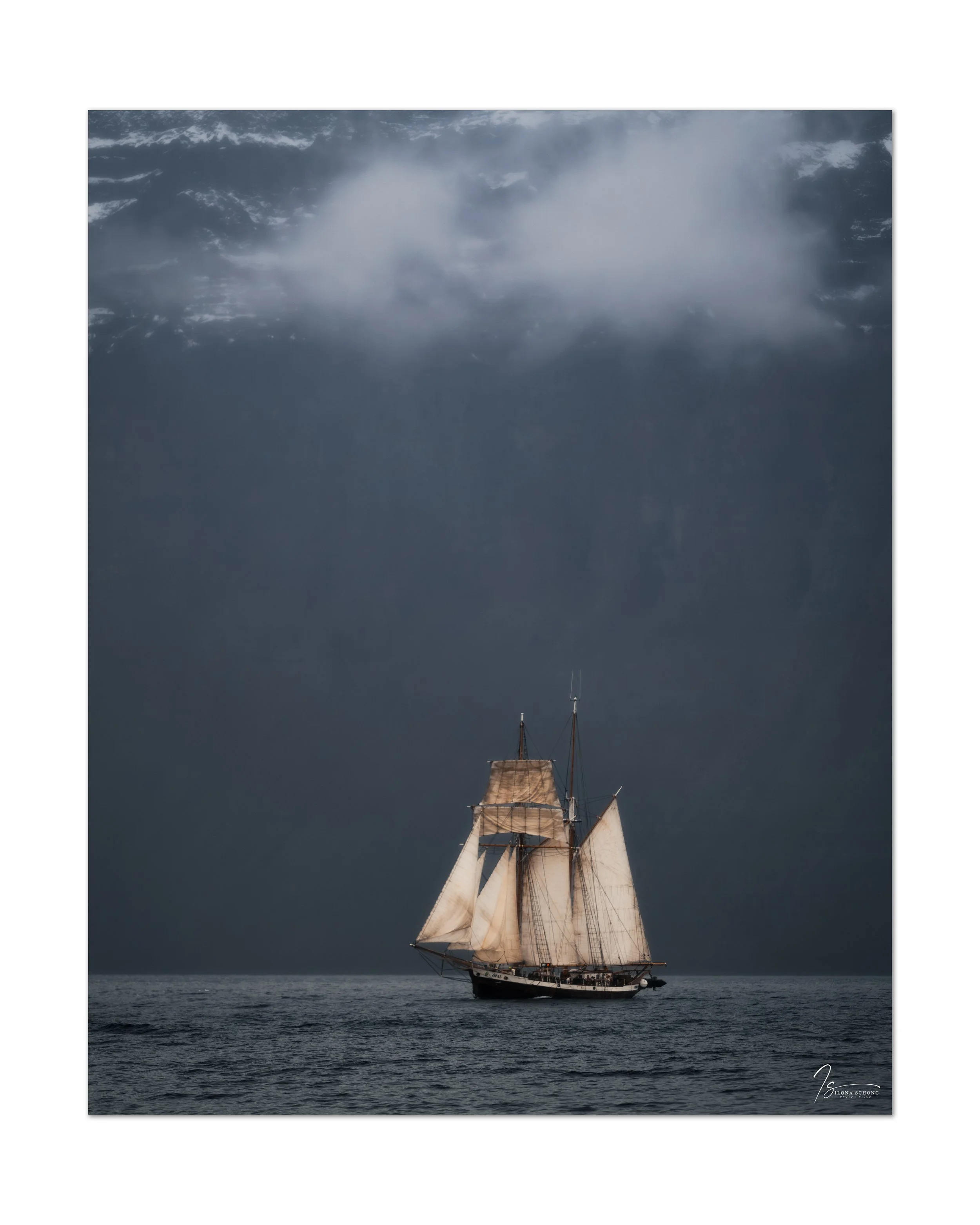 _DSC2317-Edit_Full Resolution_4247x5309_U_100.jpg