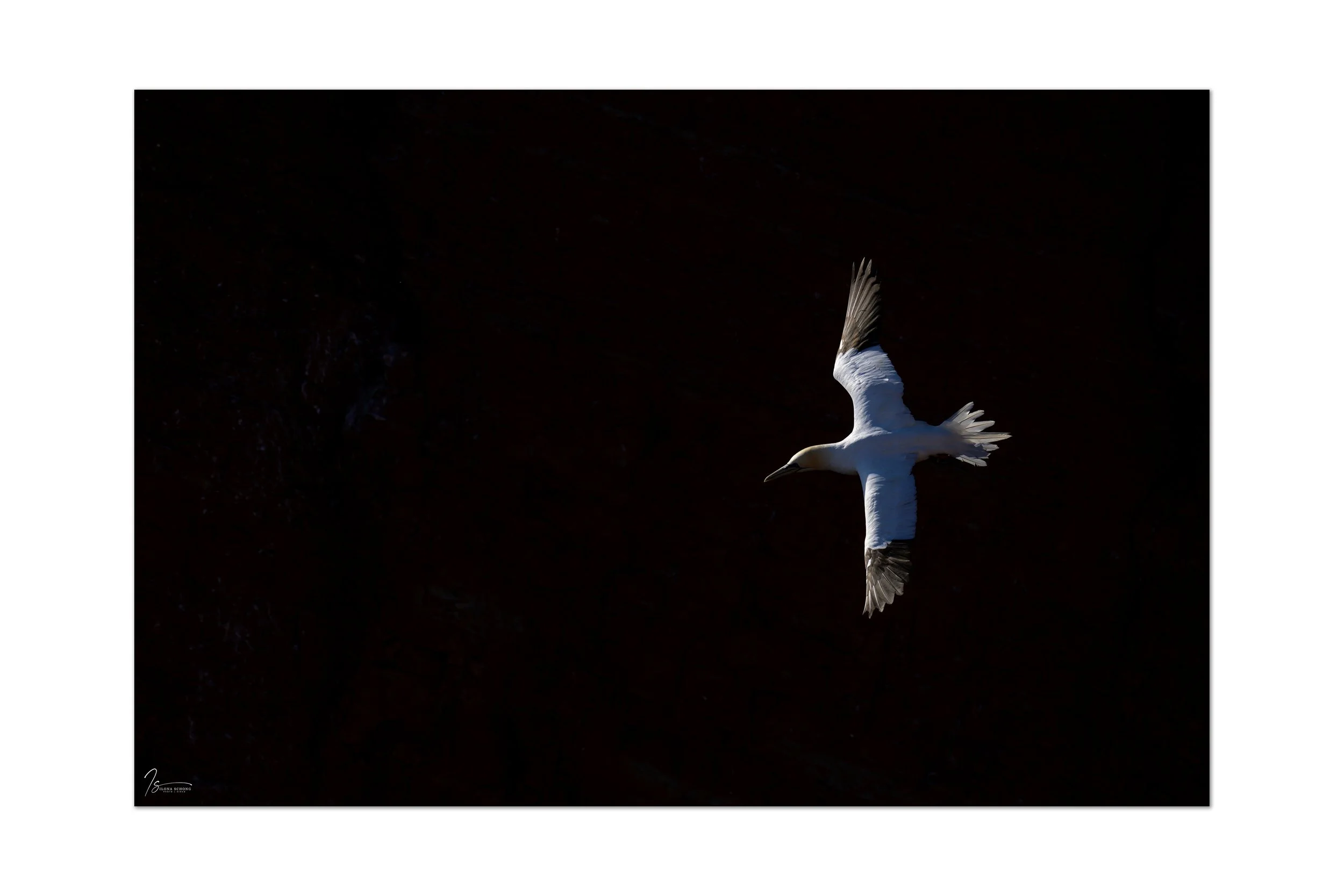 _DSC1586_Full Resolution_6765x4510_U_100.jpg
