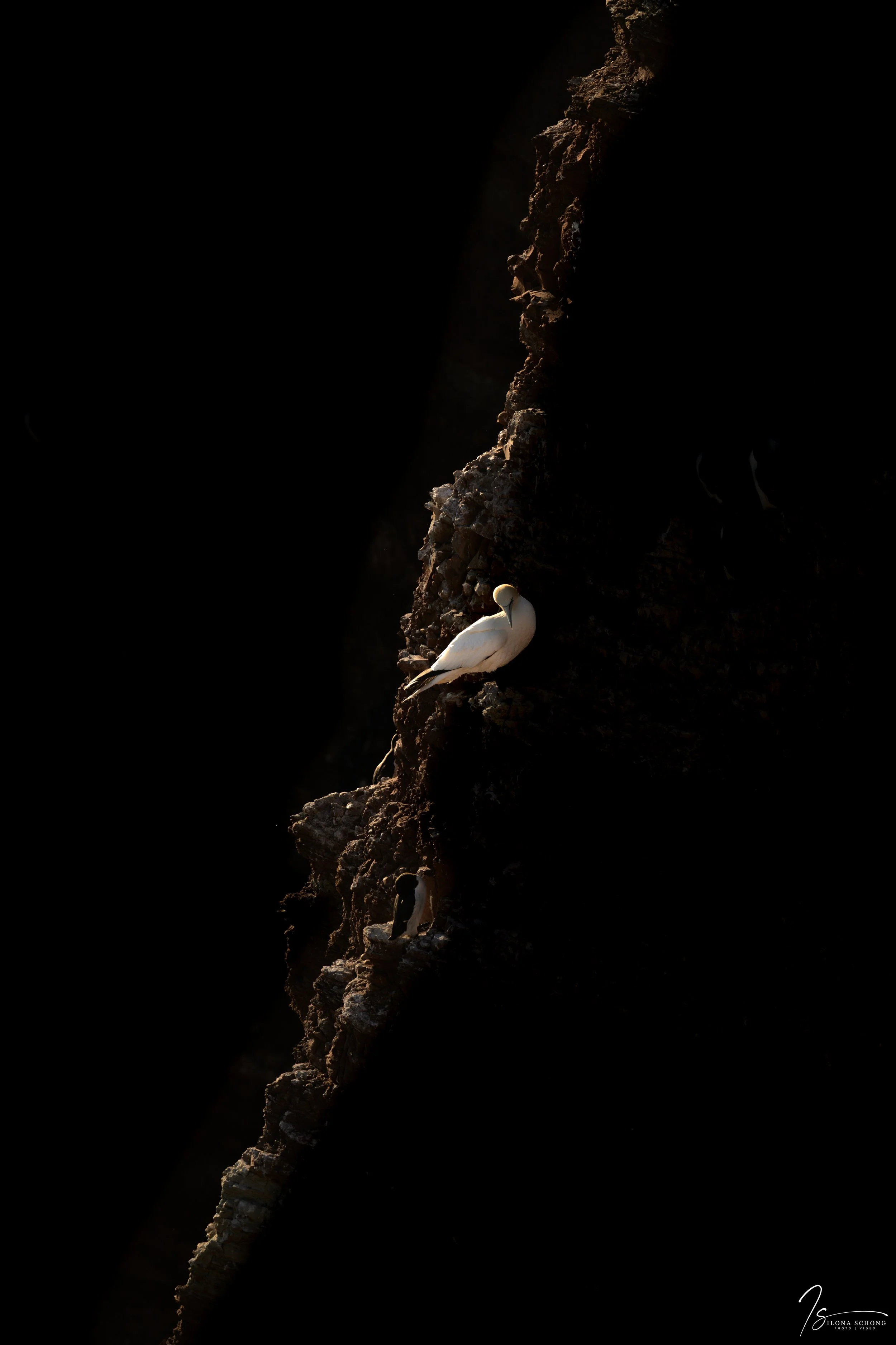 _DSC1804_Full Resolution_5504x8256_U_100.jpg