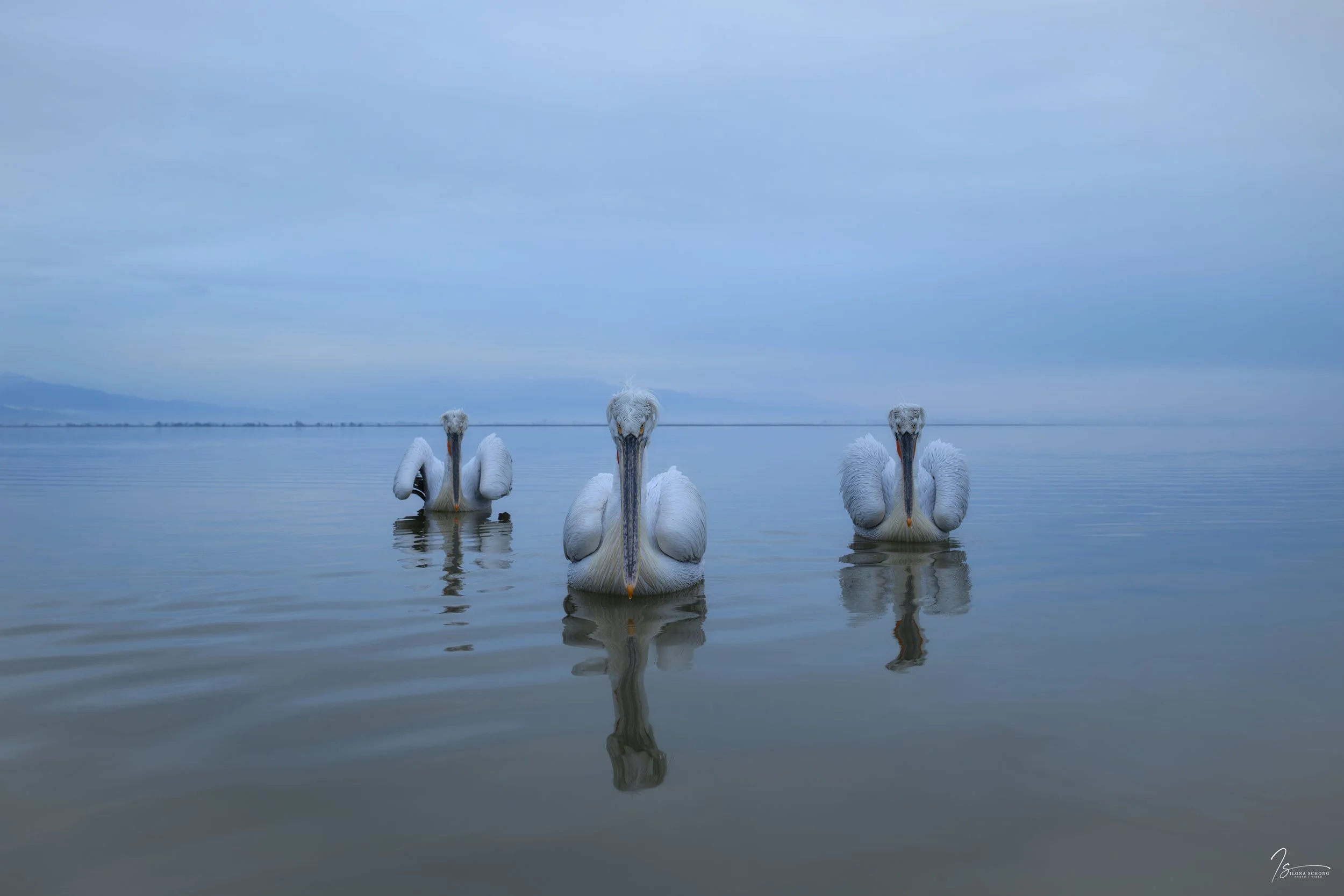 _DSC6837-Edit_Fixed Width_5000x3334_U_100.jpg