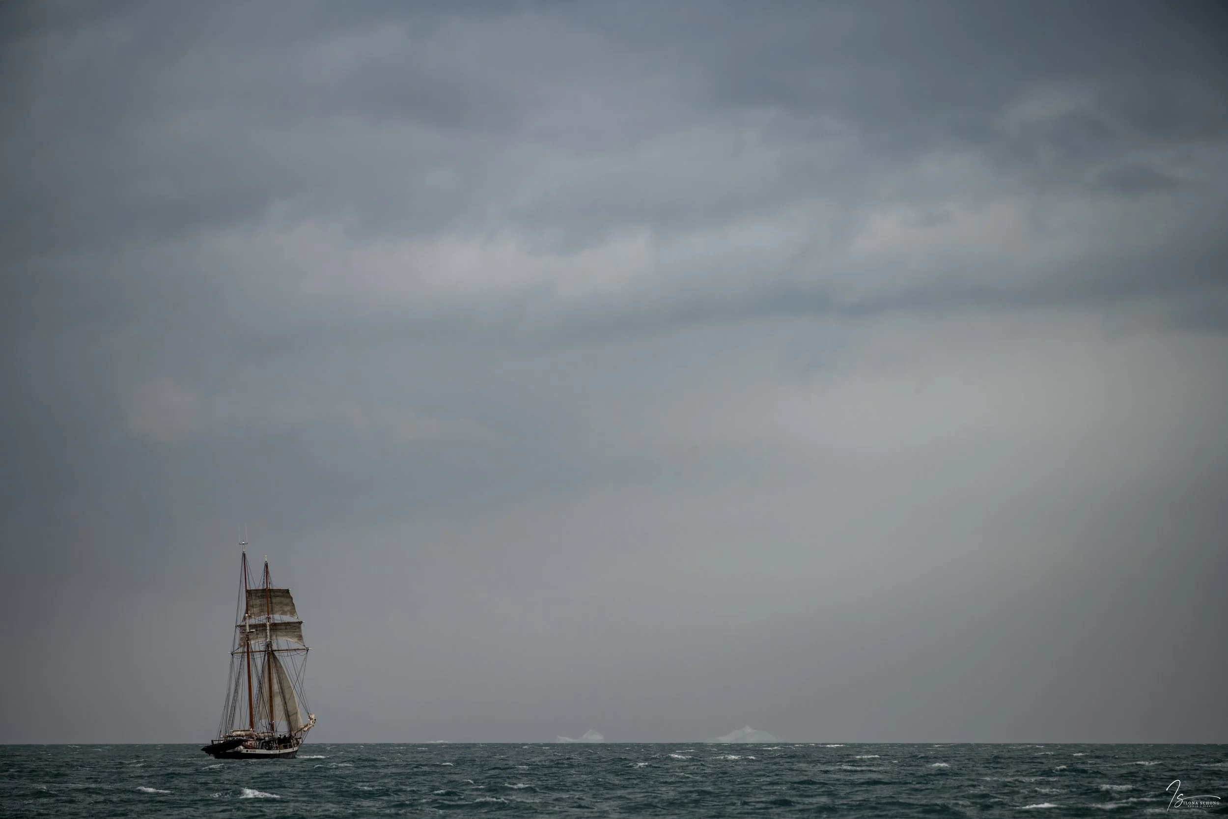 _Z721225_Full Resolution_8222x5481_U_100.jpg