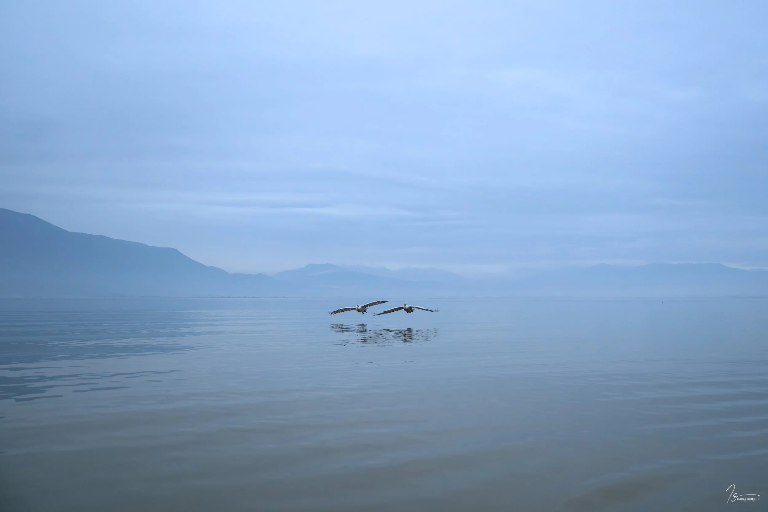 _DSC5658_Fixed Width_5000x3333_U_100.jpg