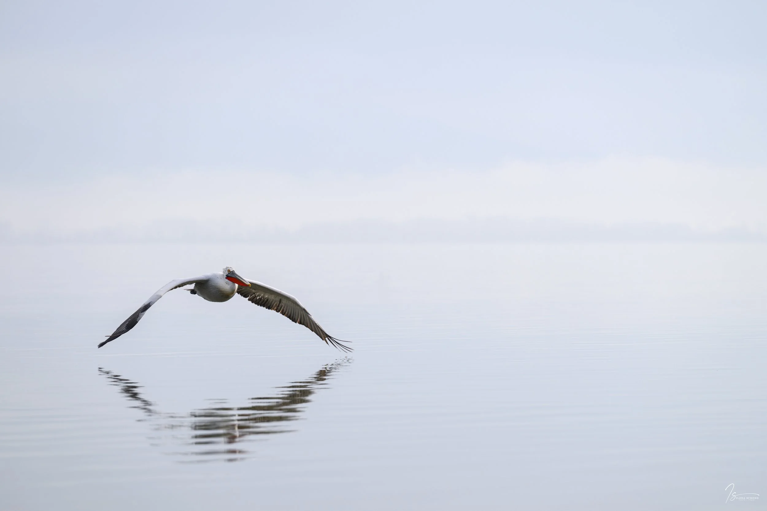 _DSC9785_Fixed Width_5000x3333_U_100.jpg