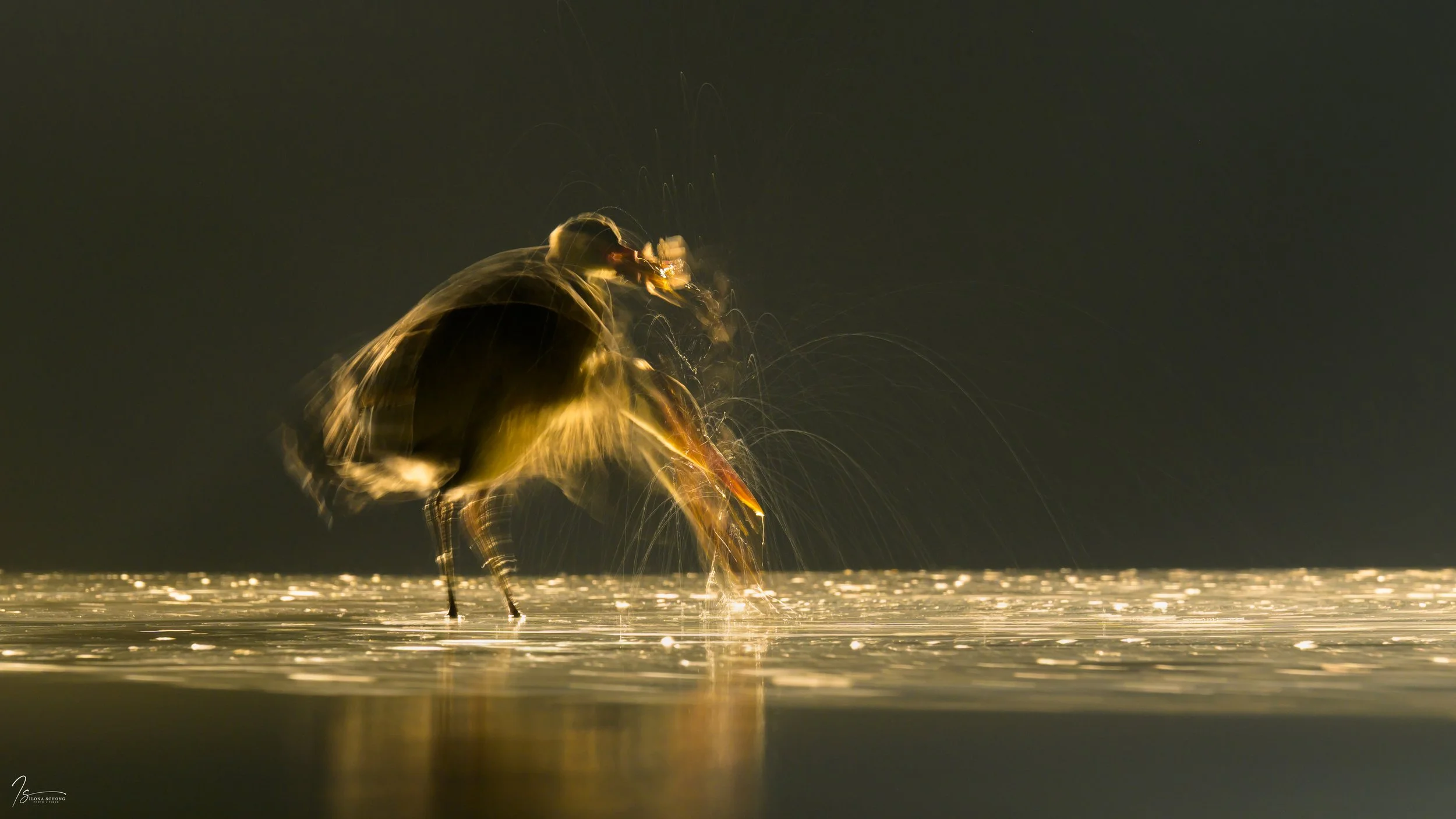 _DSC4489_6159x3464_U_100_Full resolution.jpg