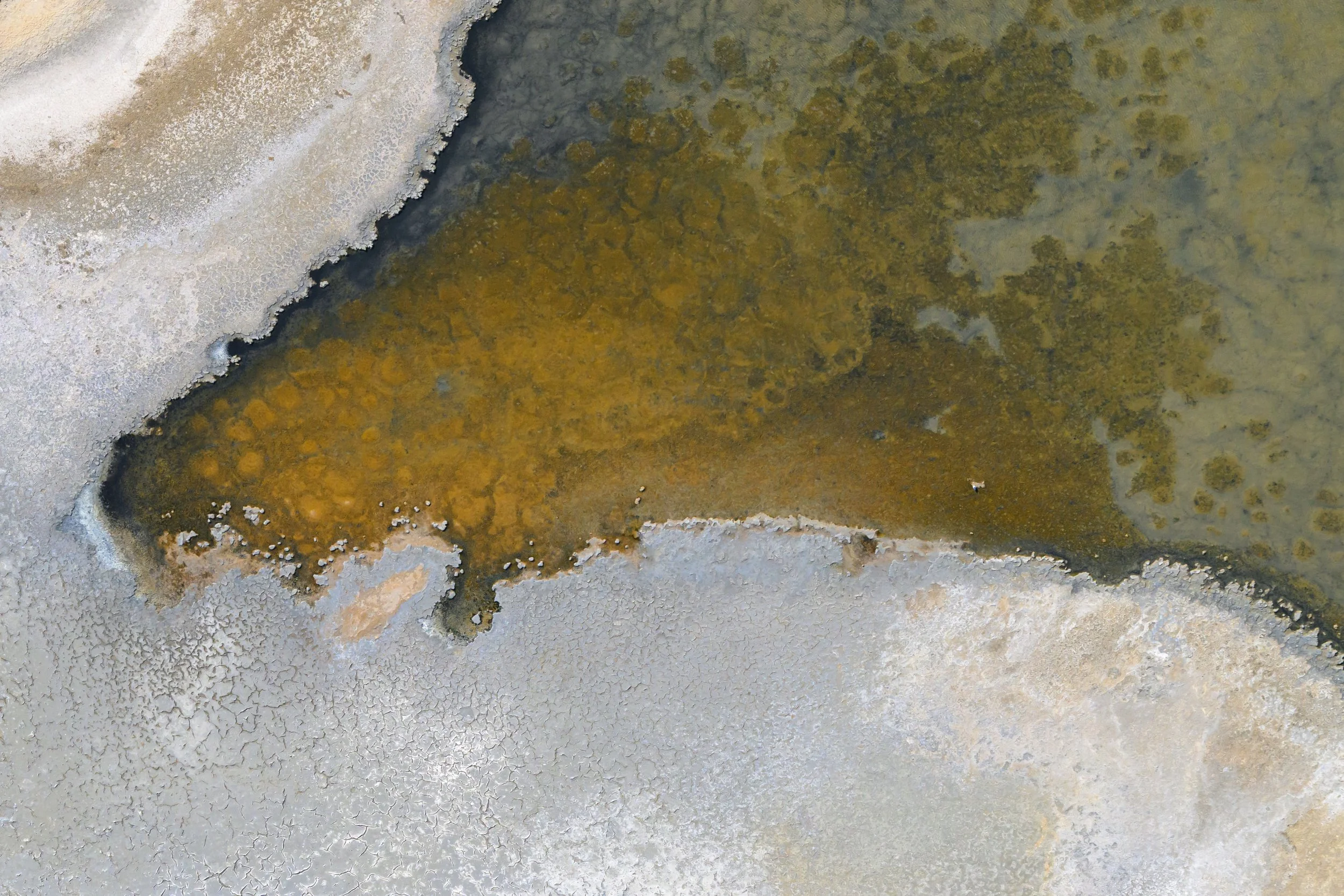 _DSC1982.jpg