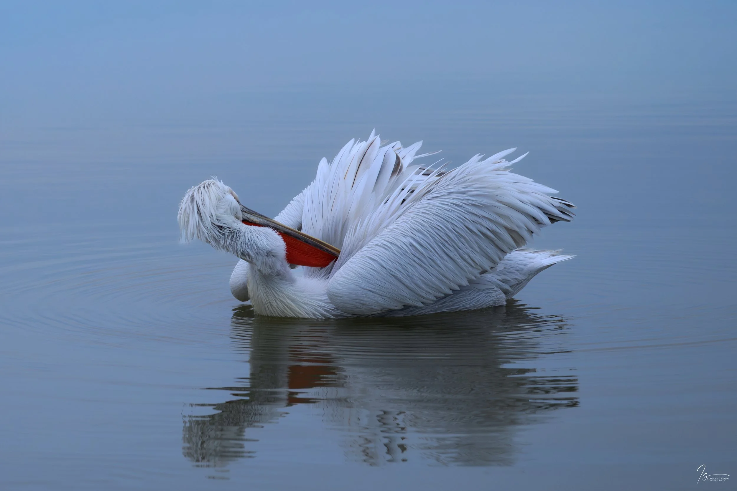 _DSC6747-Edit_Fixed Width_5000x3333_U_100.jpg