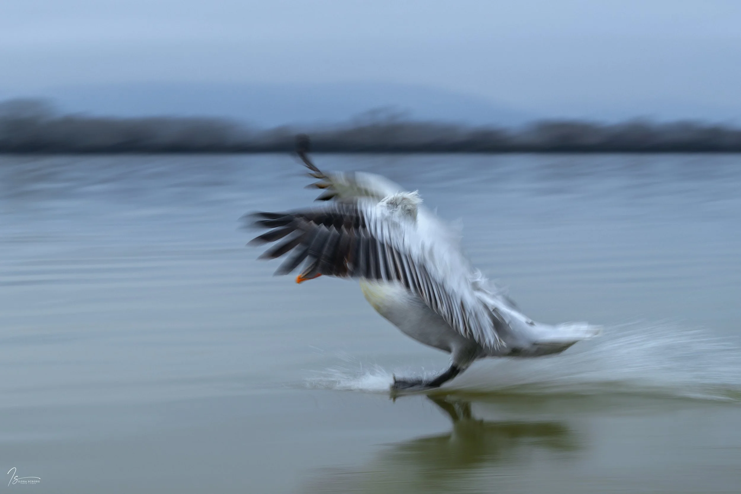 _DSC6438-Edit_Fixed Width_5000x3333_U_100.jpg