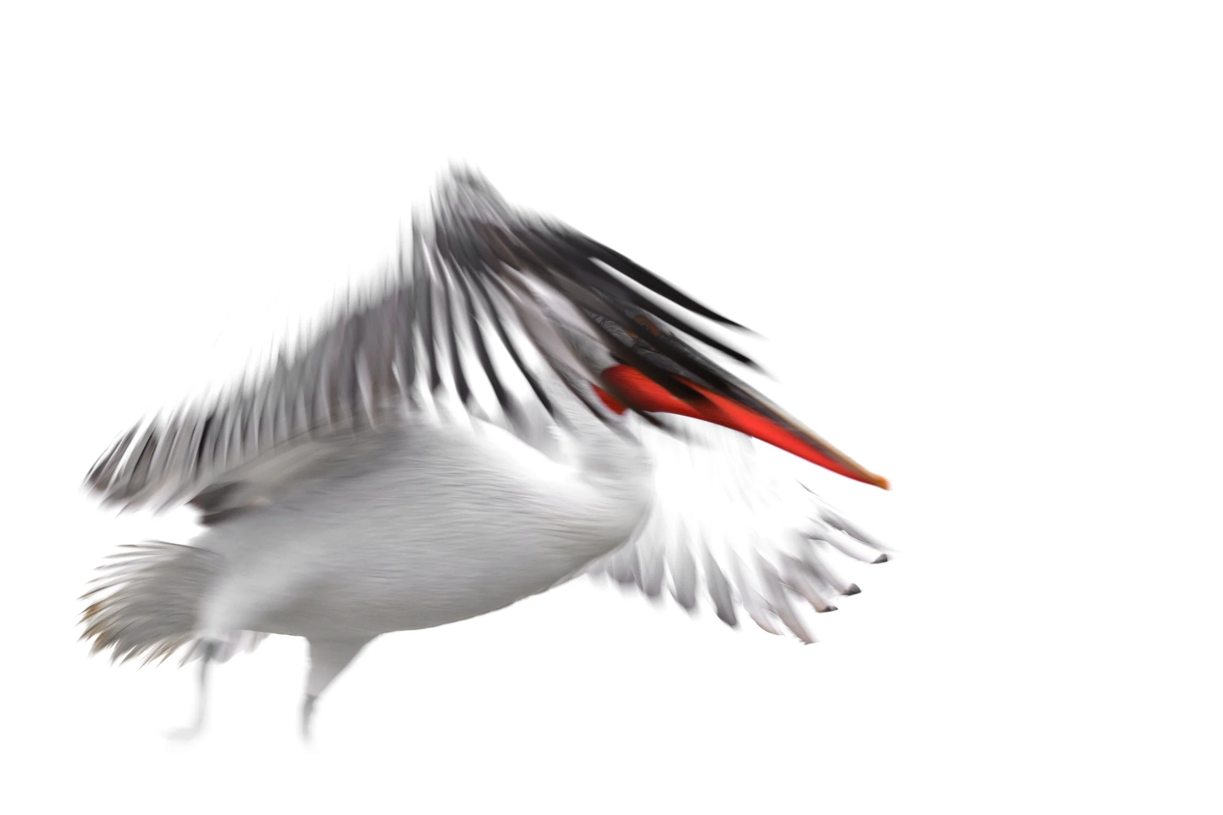 _DSC6986-Edit_Fixed Width_5000x3333_U_100.jpg