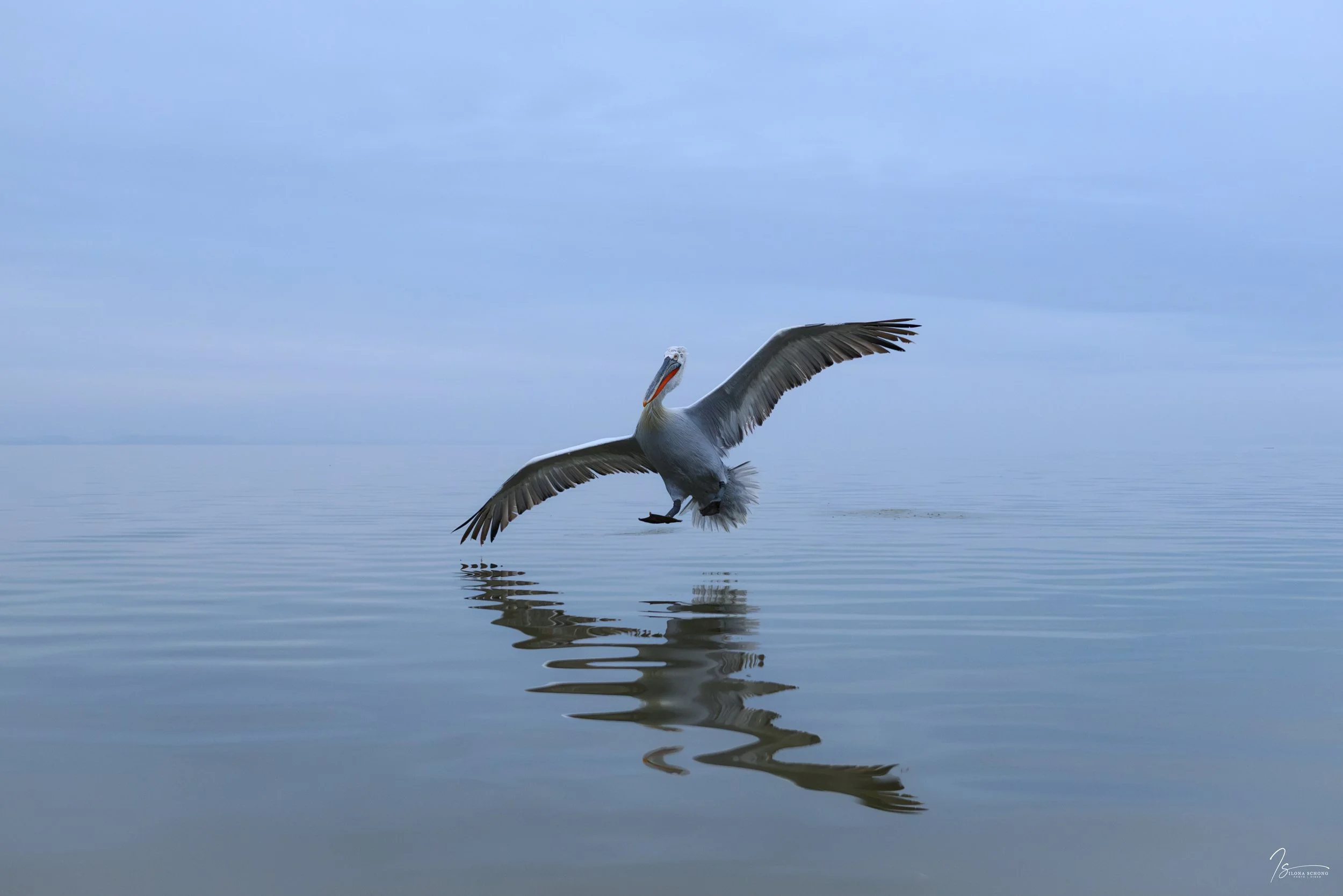 _DSC6087-Edit_Fixed Width_5000x3334_U_100.jpg