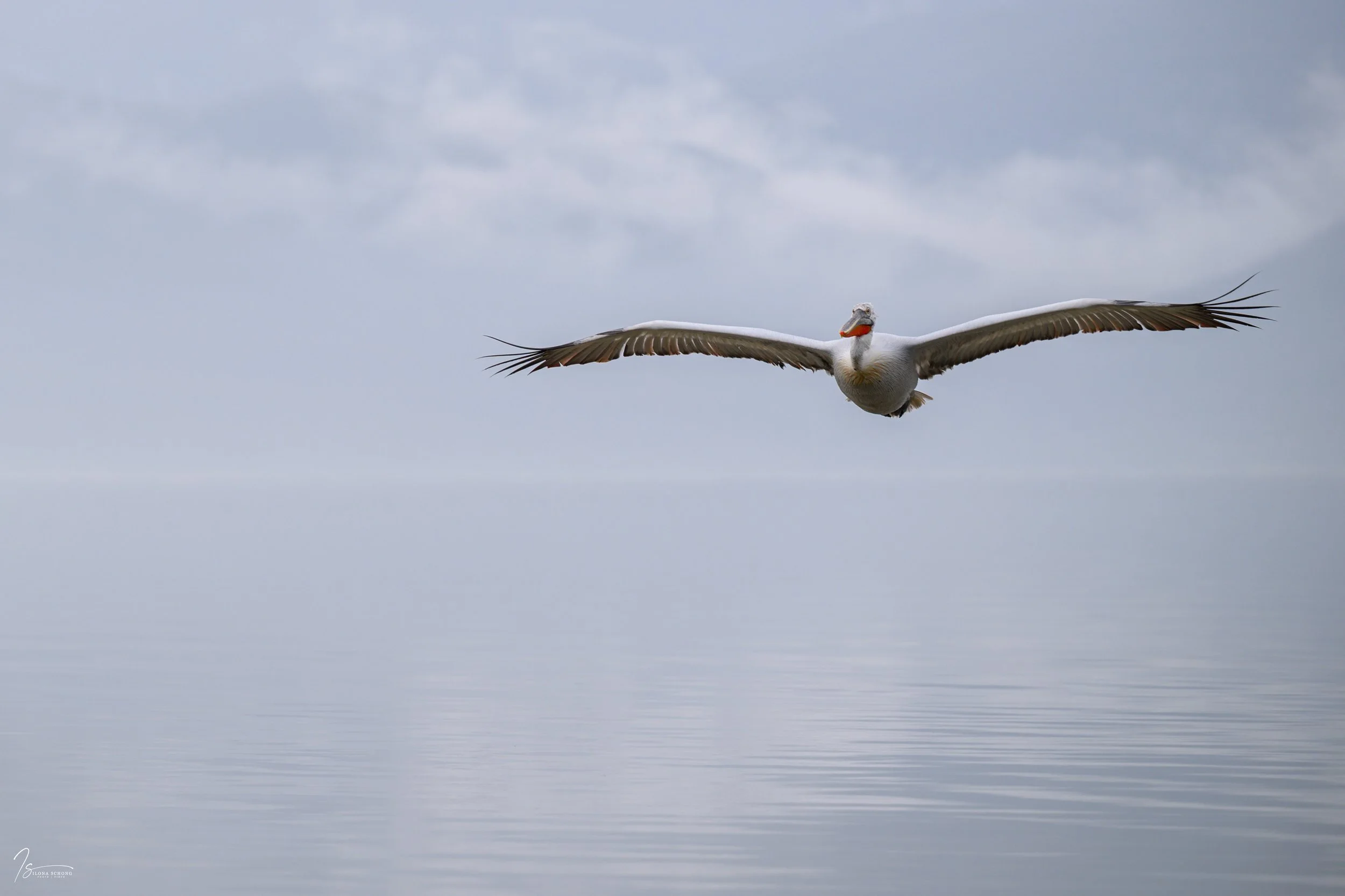 _DSC0199-Edit_Fixed Width_5000x3334_U_100.jpg