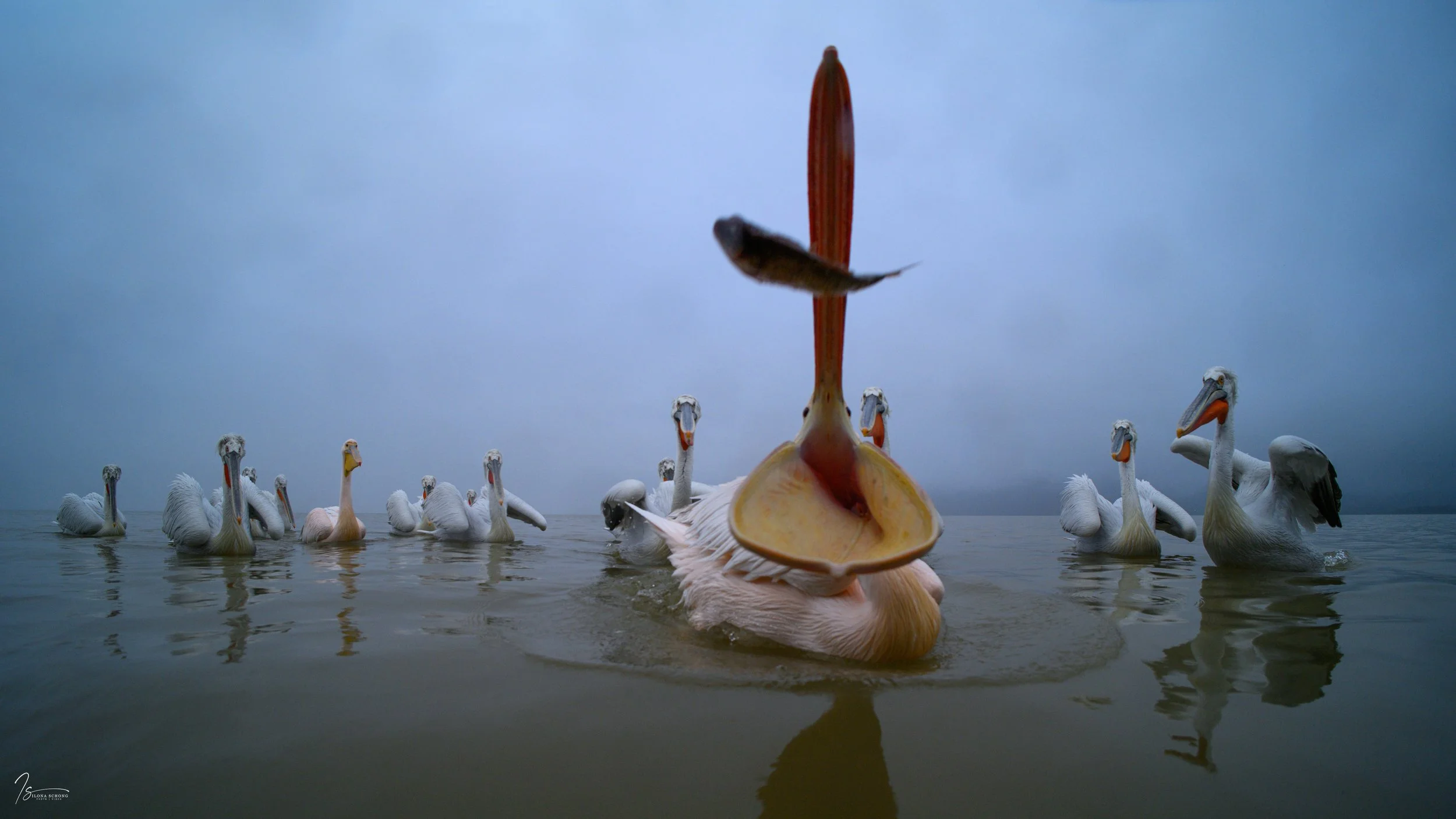 _DSC3666_Fixed Width_5000x2813_U_100.jpg