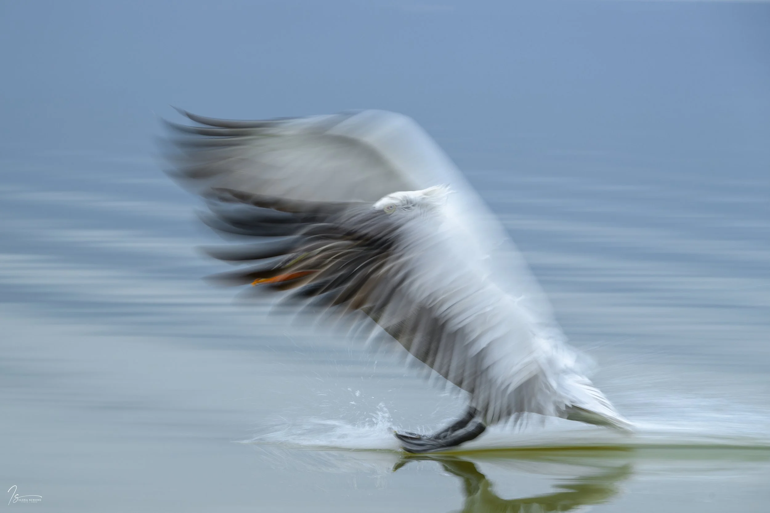 _DSC5111_Fixed Width_5000x3333_U_100.jpg