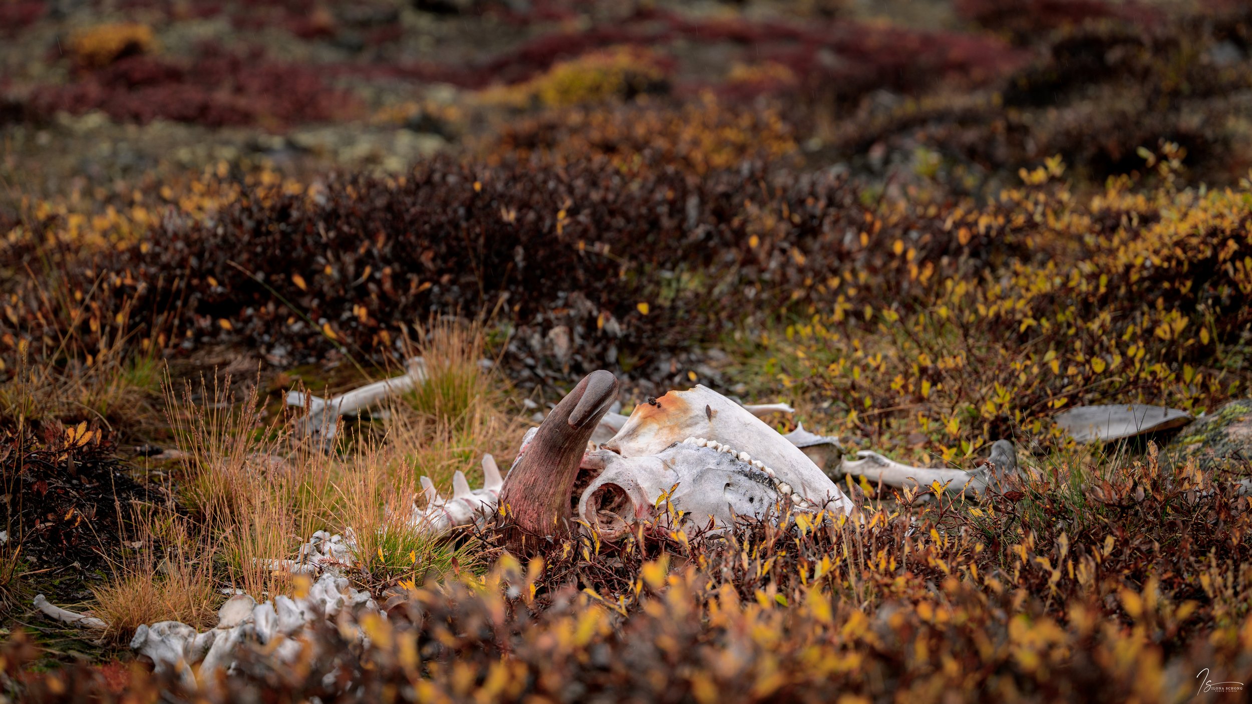 _DSC1673_Full Resolution_7360x4140_U_100.jpg