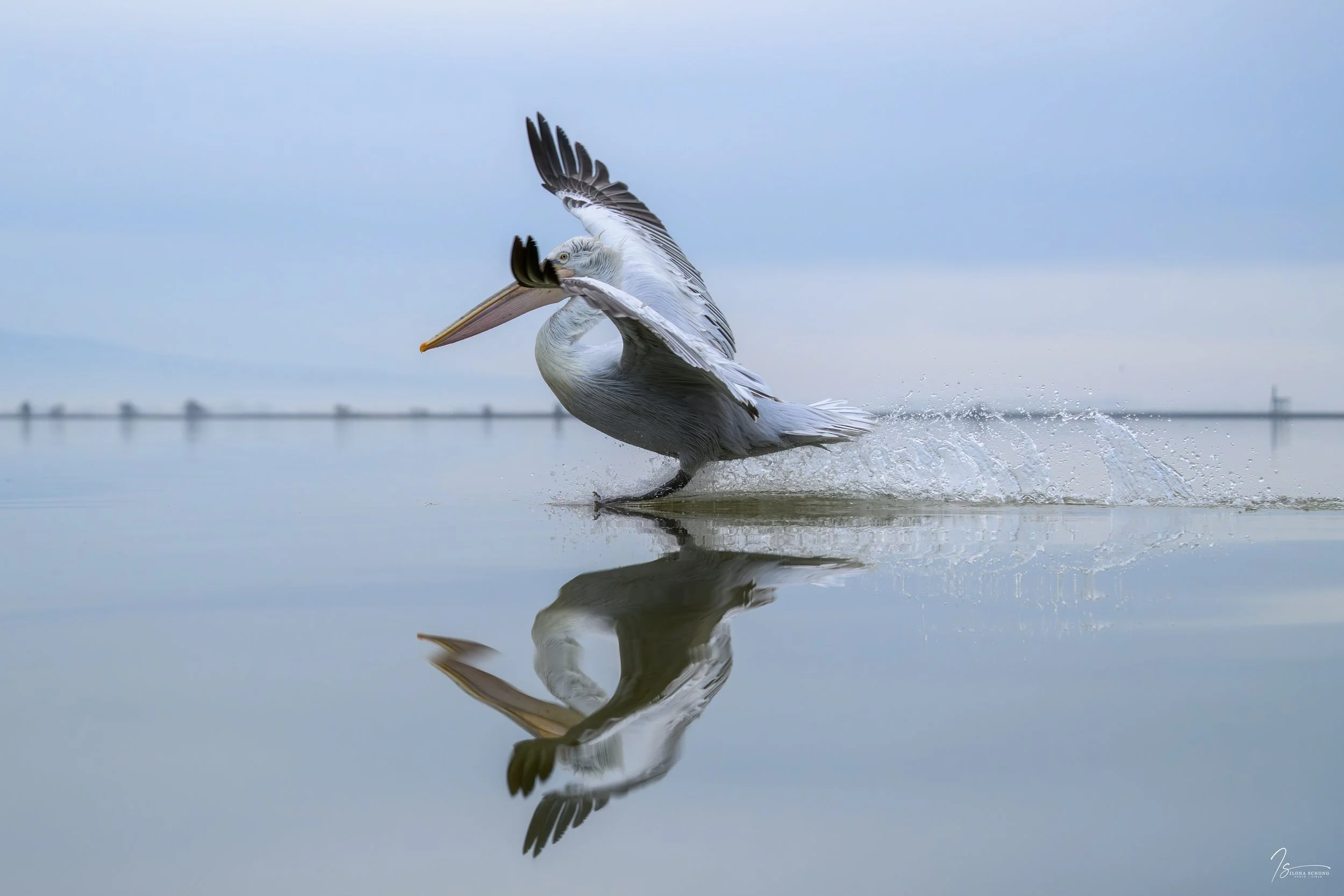 _DSC7531-Edit_Fixed Width_5000x3333_U_100.jpg