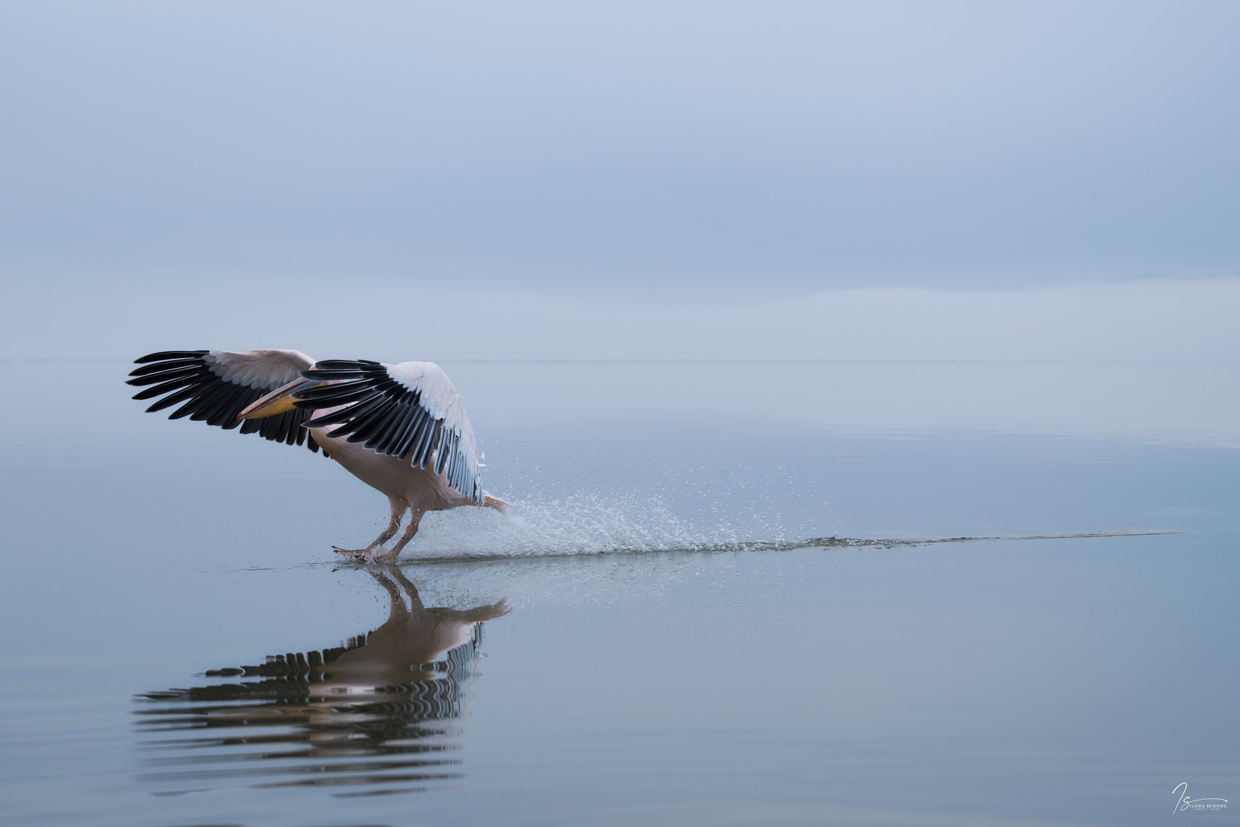 _DSC7183-Edit_Fixed Width_5000x3333_U_100.jpg