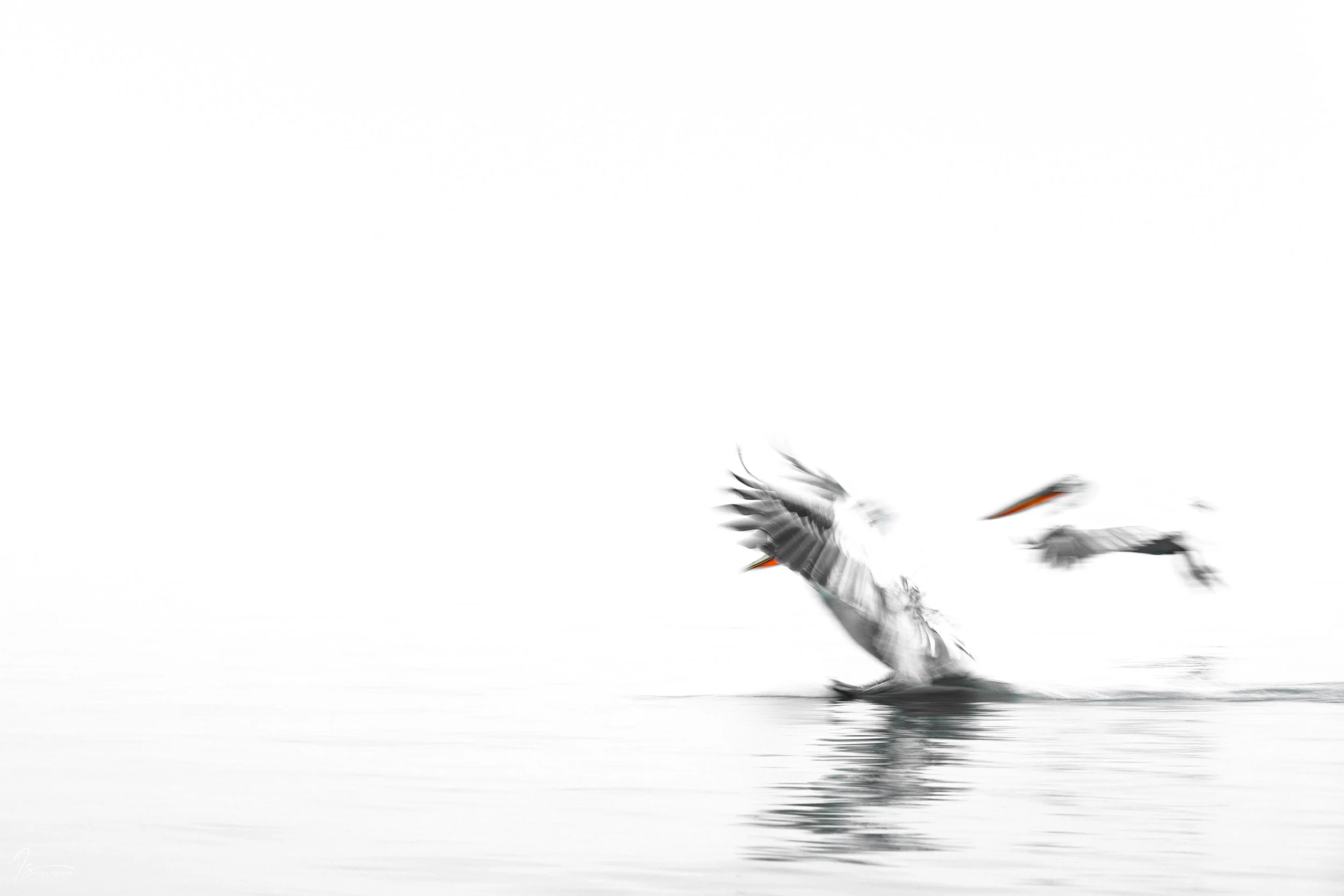 _DSC3278-Edit-Edit_Fixed Width_5000x3334_U_100.jpg