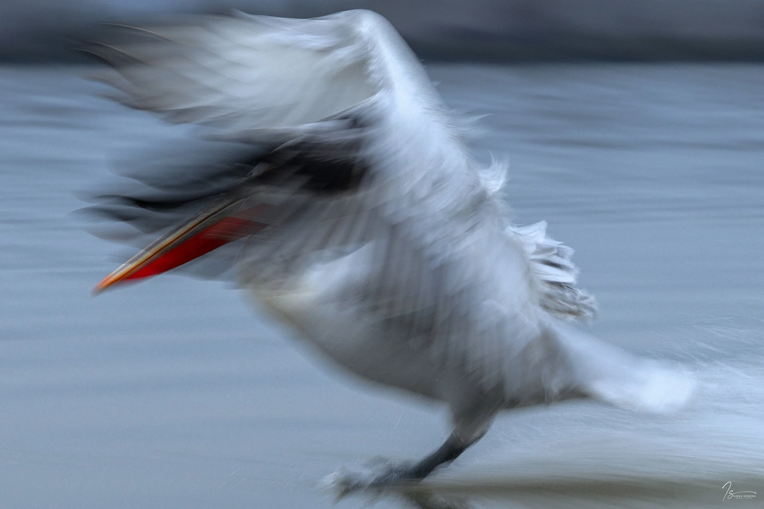 _DSC6601-Edit_Fixed Width_5000x3334_U_100.jpg