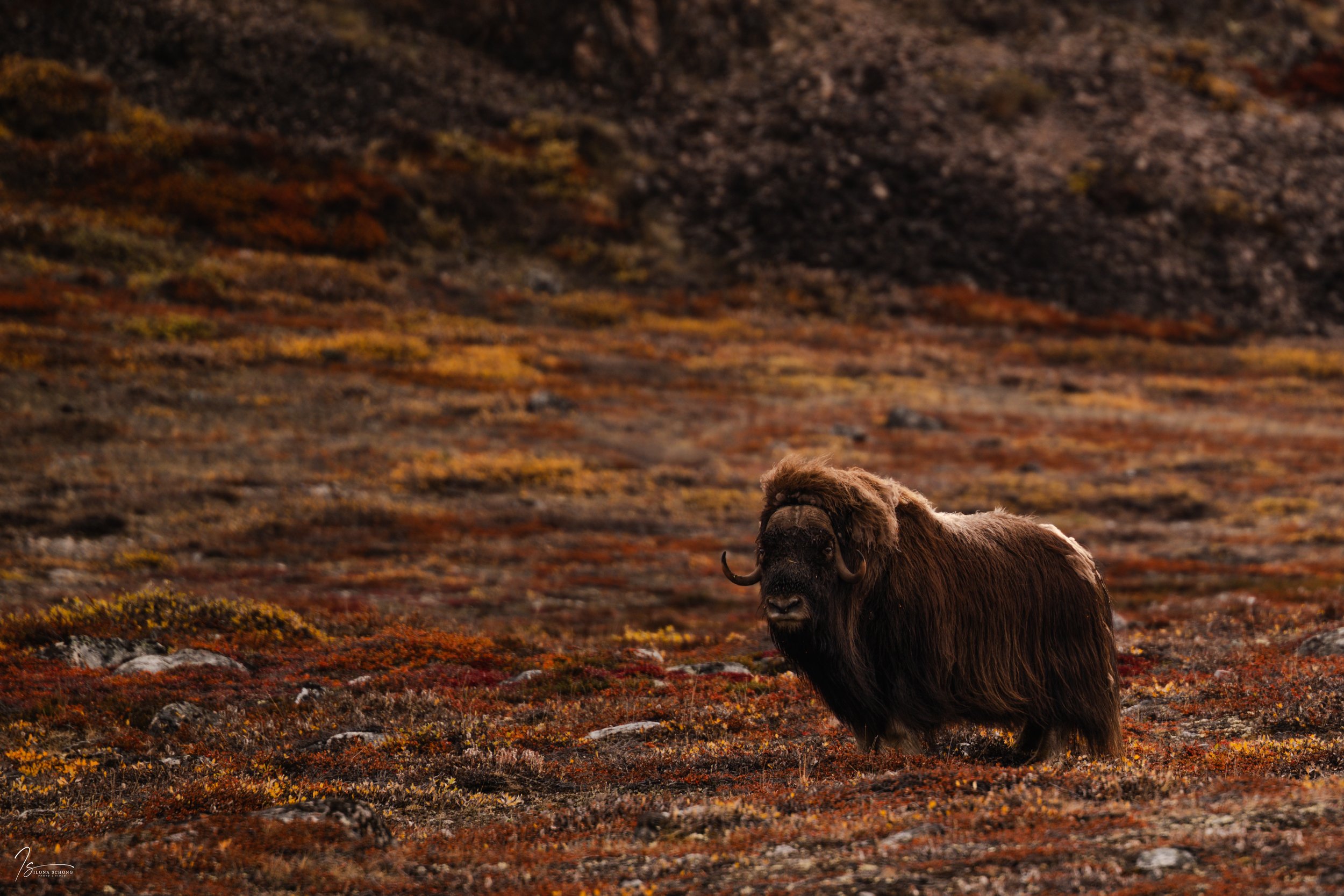 _DSC2122_Full Resolution_4644x3096_U_100.jpg