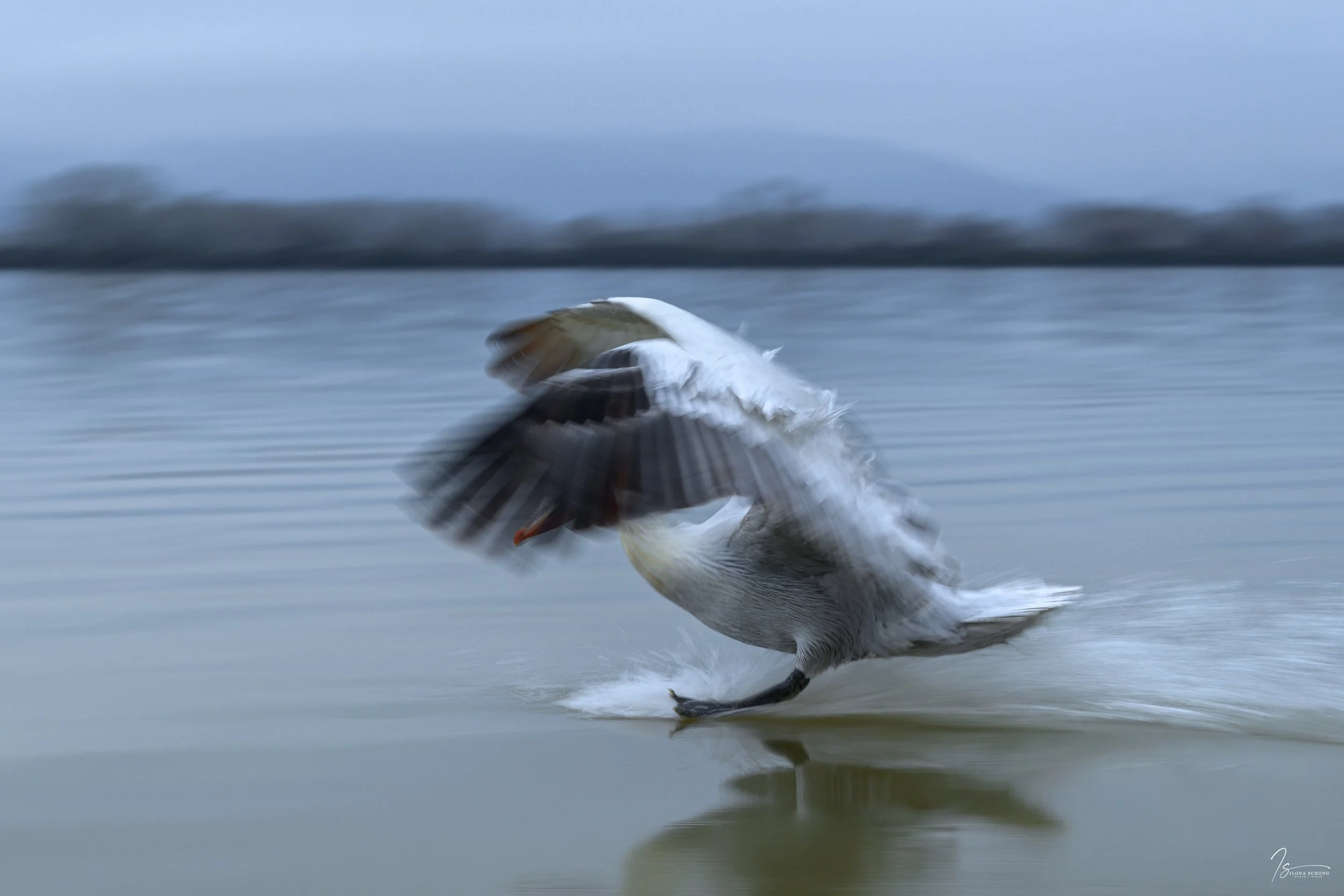 _DSC6439-Edit_Fixed Width_5000x3333_U_100.jpg